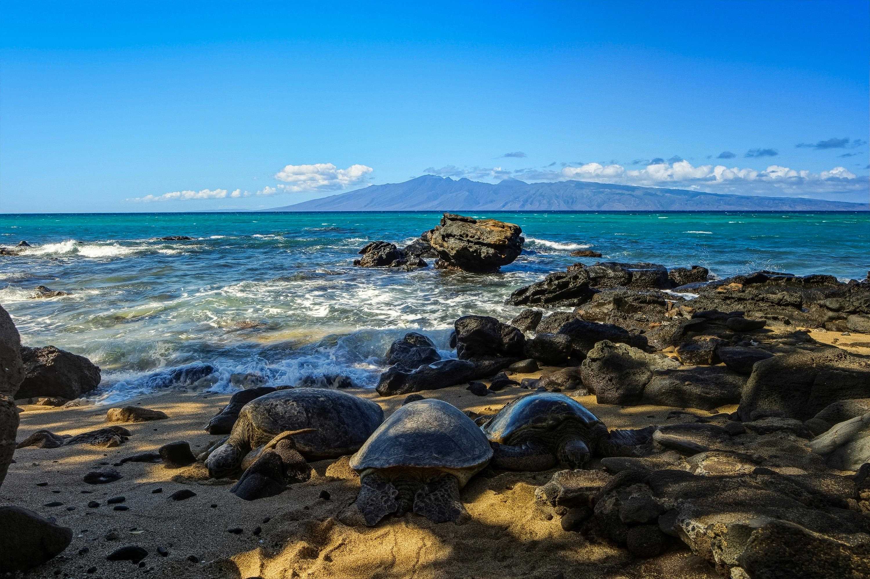 Mahina Surf condo # 122, Lahaina, Hawaii - photo 29 of 40