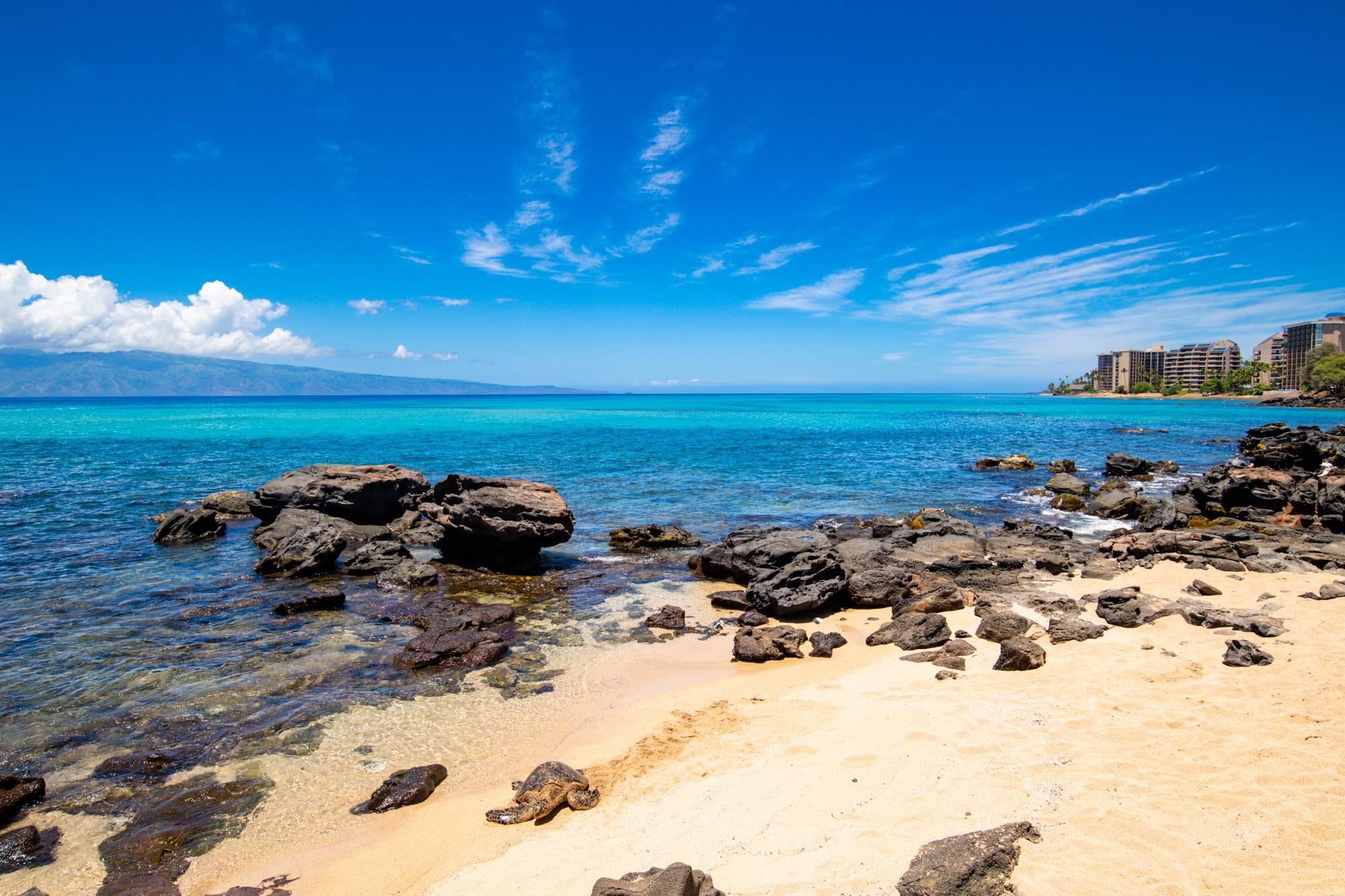 Mahina Surf condo # 122, Lahaina, Hawaii - photo 33 of 40