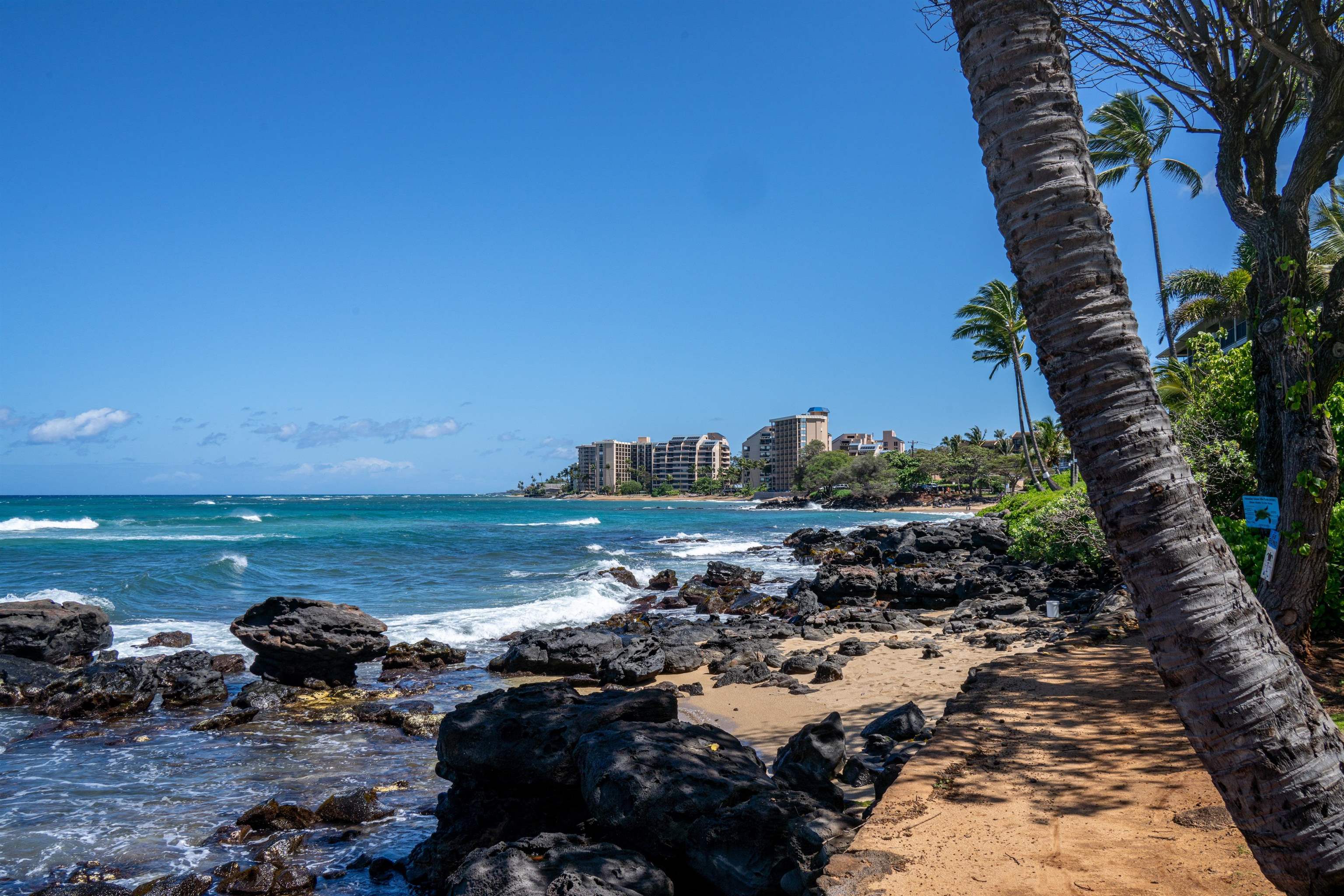 Mahina Surf condo # 124, Lahaina, Hawaii - photo 25 of 29