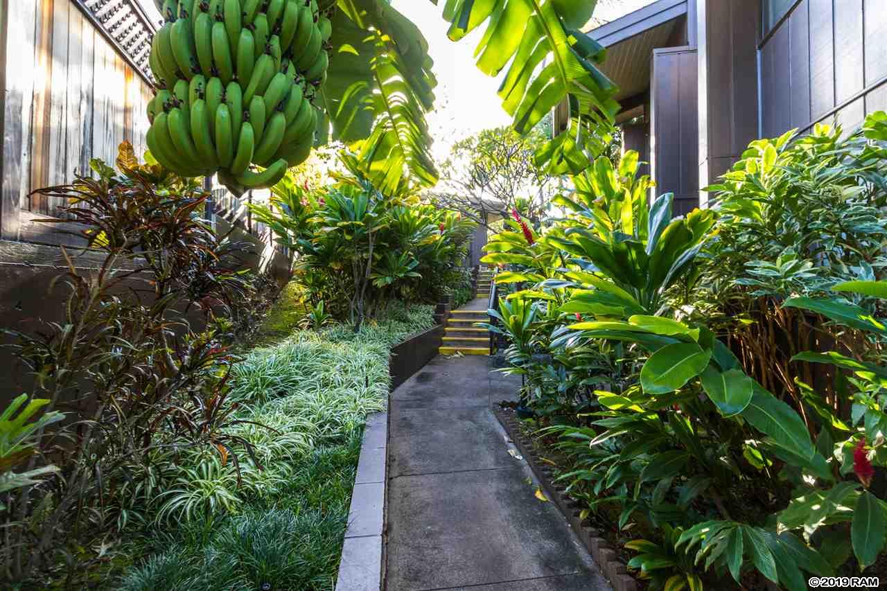 Mahina Surf condo # 222, Lahaina, Hawaii - photo 19 of 25