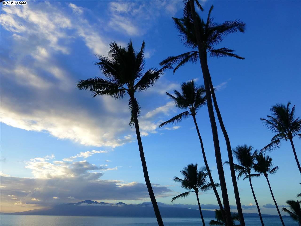 Mahina Surf condo # 227, Lahaina, Hawaii - photo 24 of 30