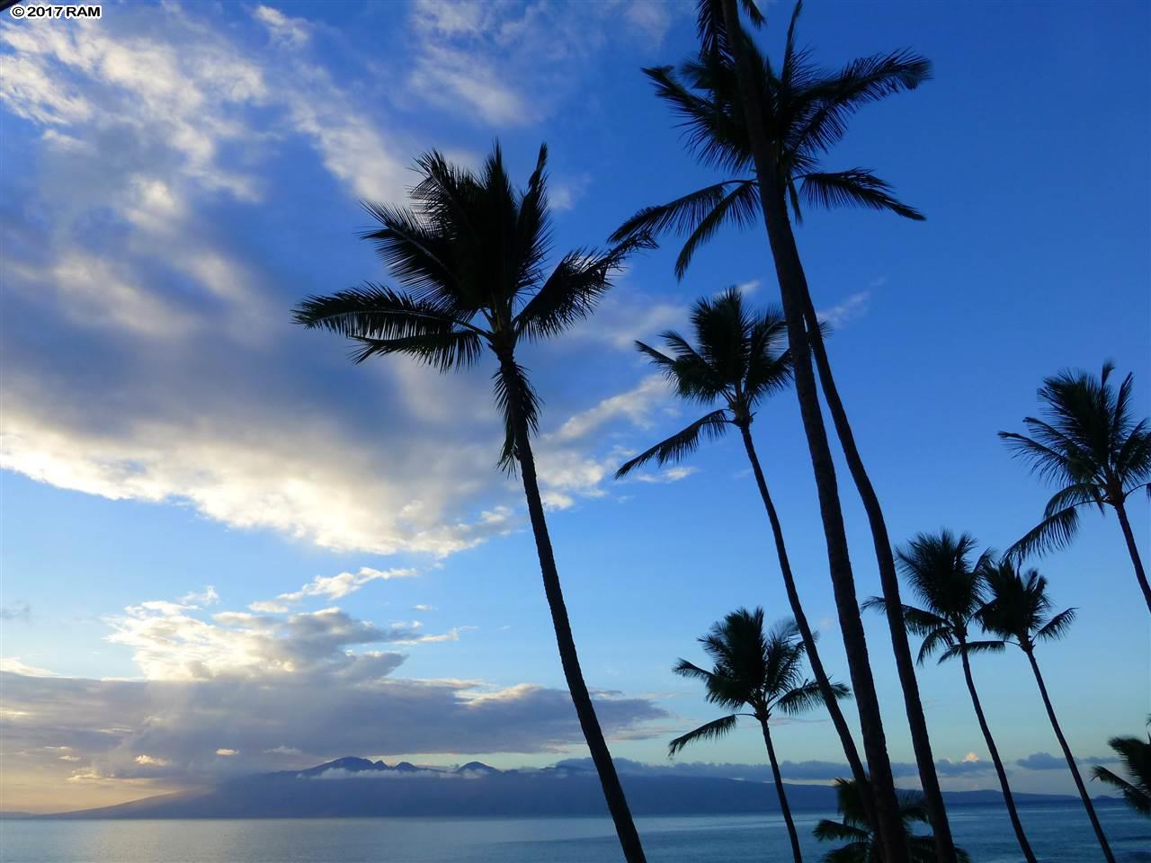 Mahina Surf condo # 227, Lahaina, Hawaii - photo 28 of 30