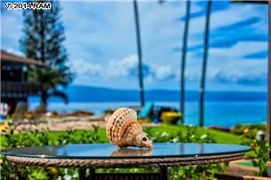 Mahina Surf condo # 107, Lahaina, Hawaii - photo 25 of 29