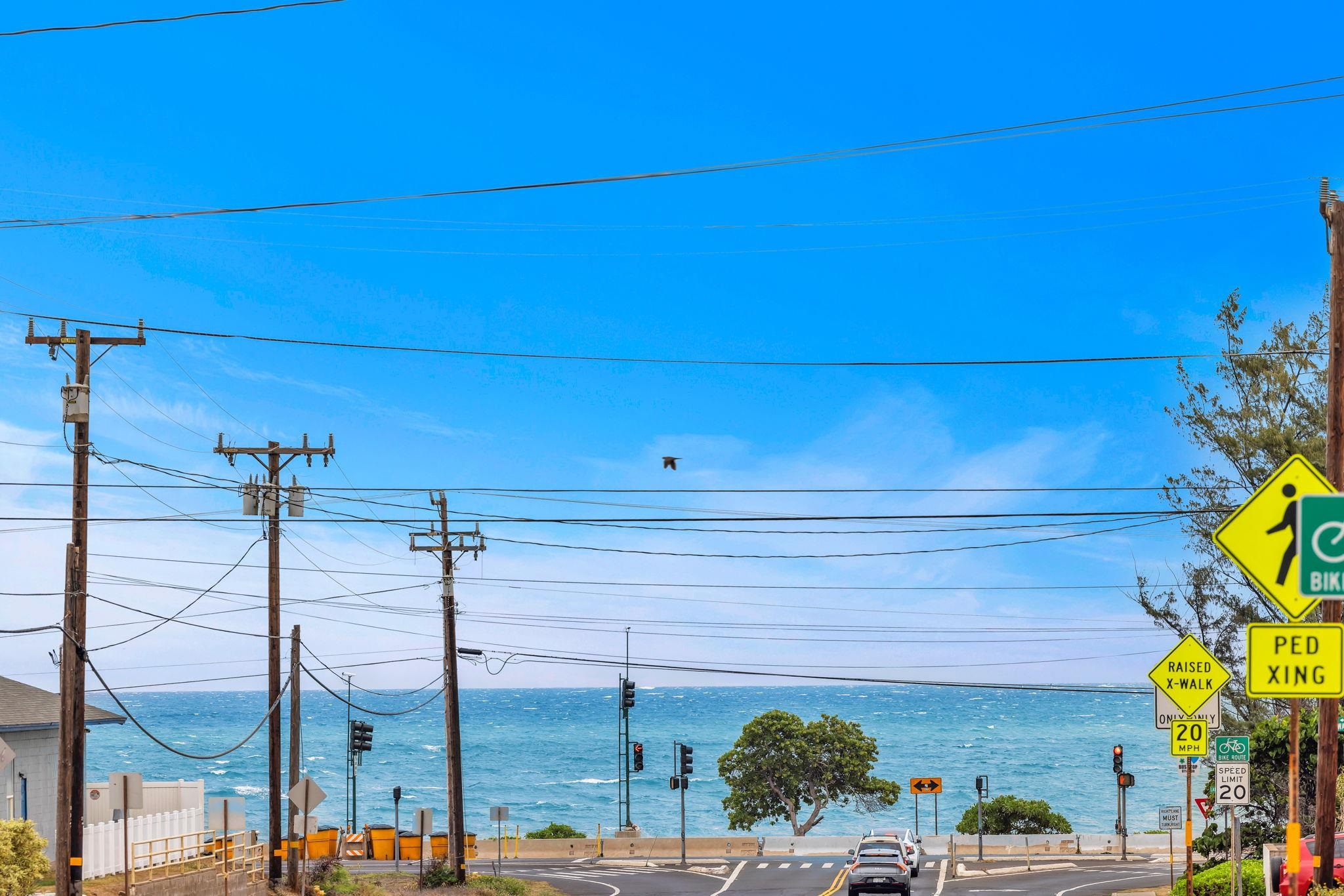 406  Kanaloa Ave , Kahului home - photo 19 of 33