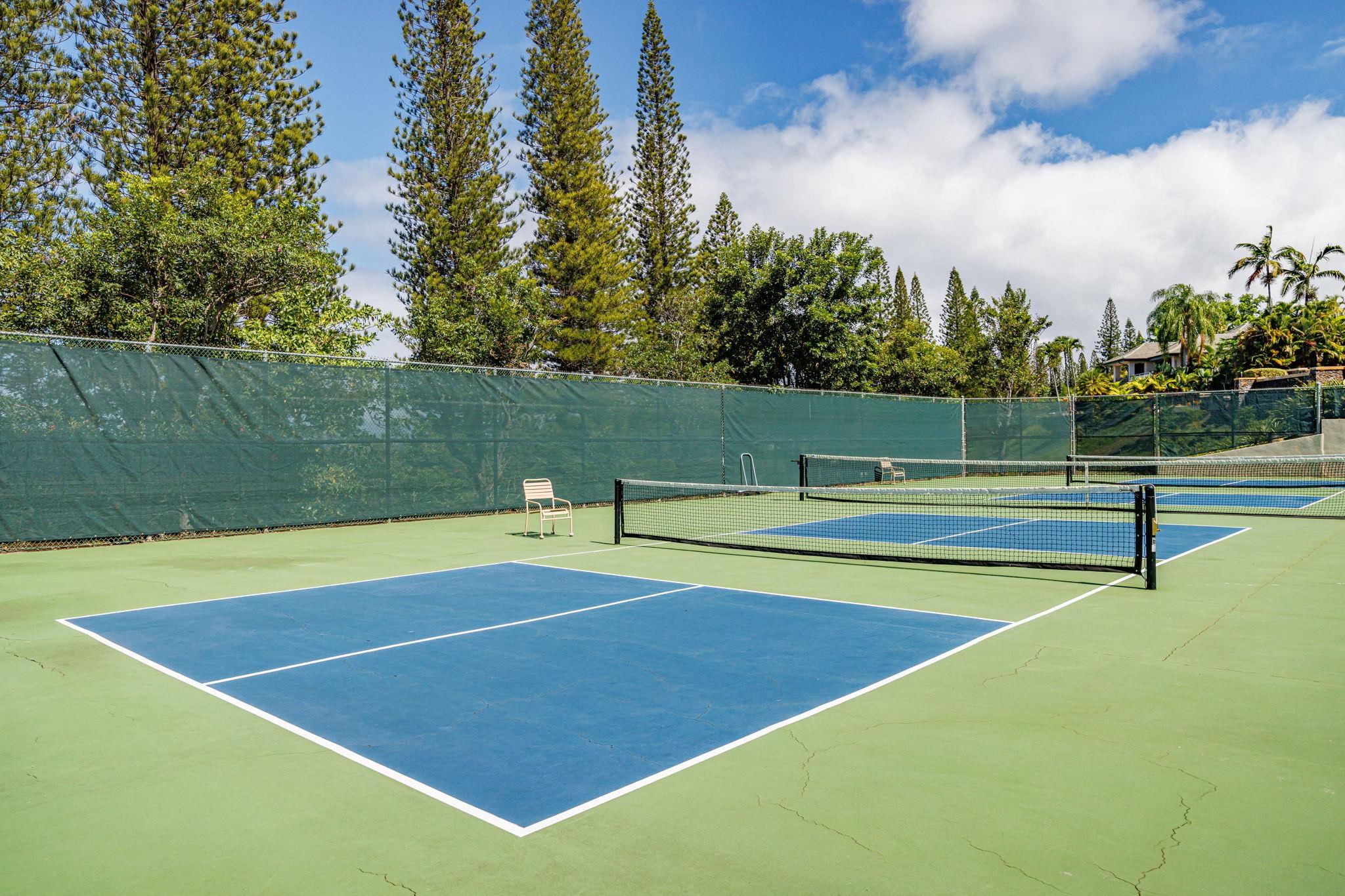 406  Monarch Pl Kapalua, Kapalua home - photo 47 of 50