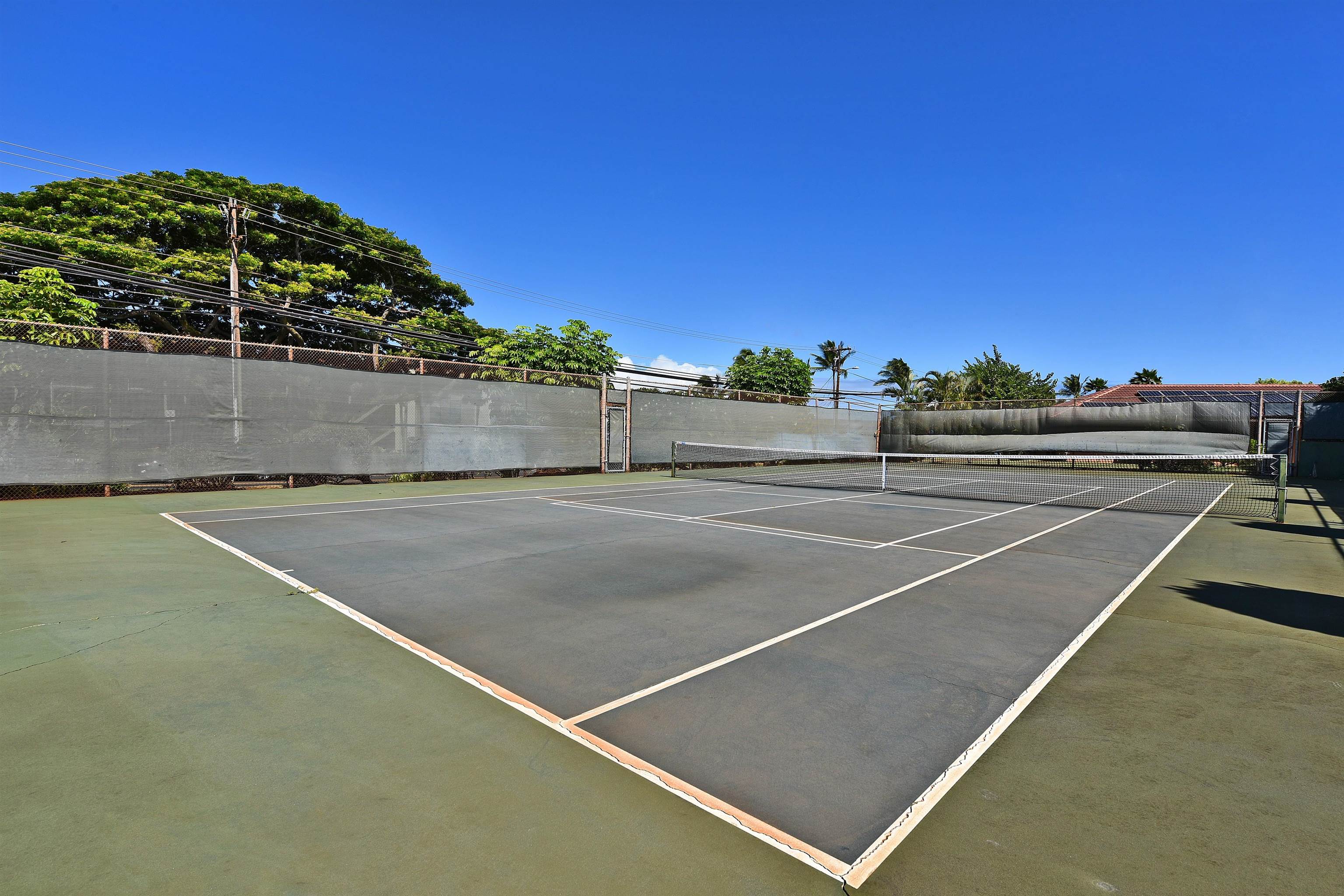 4067  Paua Way Kahana, Napili/Kahana/Honokowai home - photo 40 of 42