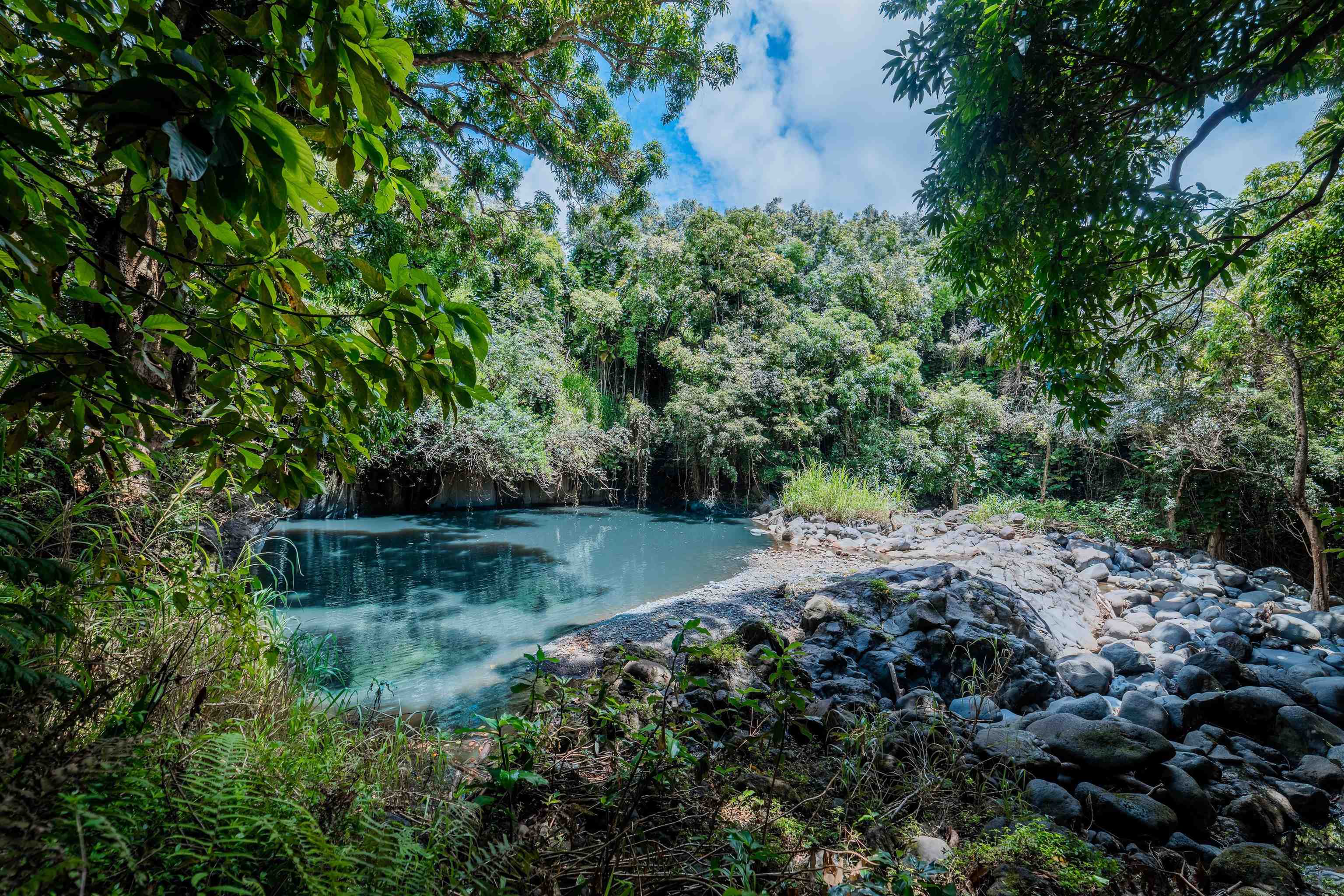 40685  Hana Hwy Kipahulu, Hana home - photo 17 of 35