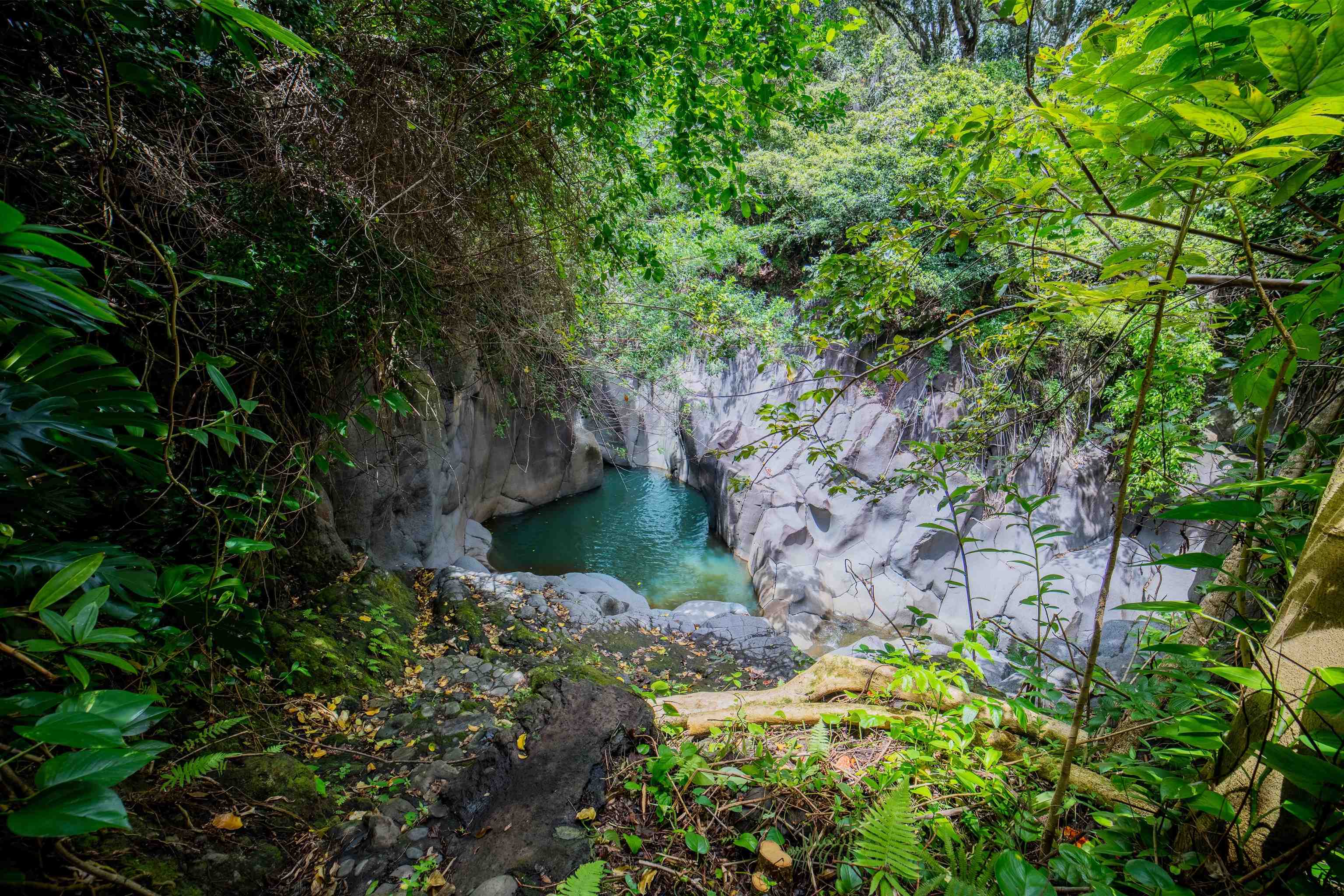 40685  Hana Hwy Kipahulu, Hana home - photo 6 of 35