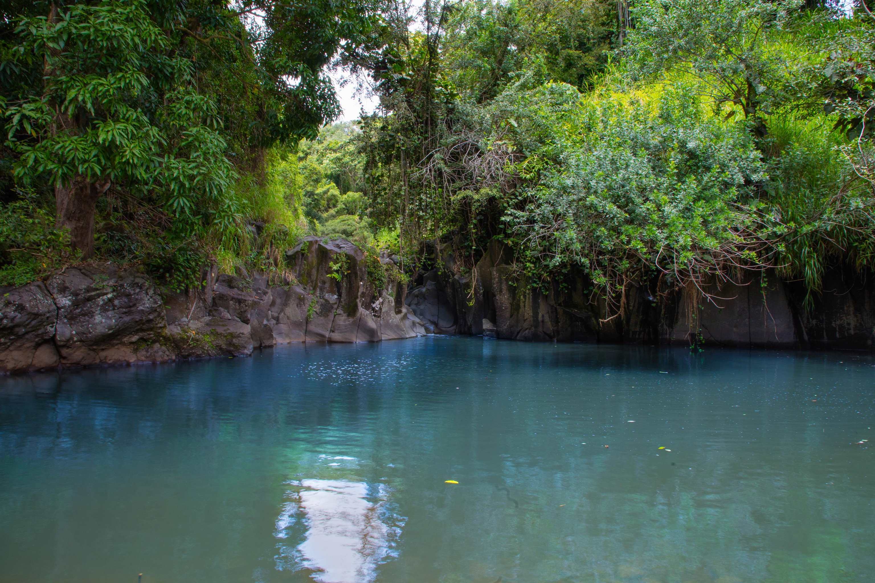 40685  Hana Hwy Kipahulu, Hana home - photo 7 of 35
