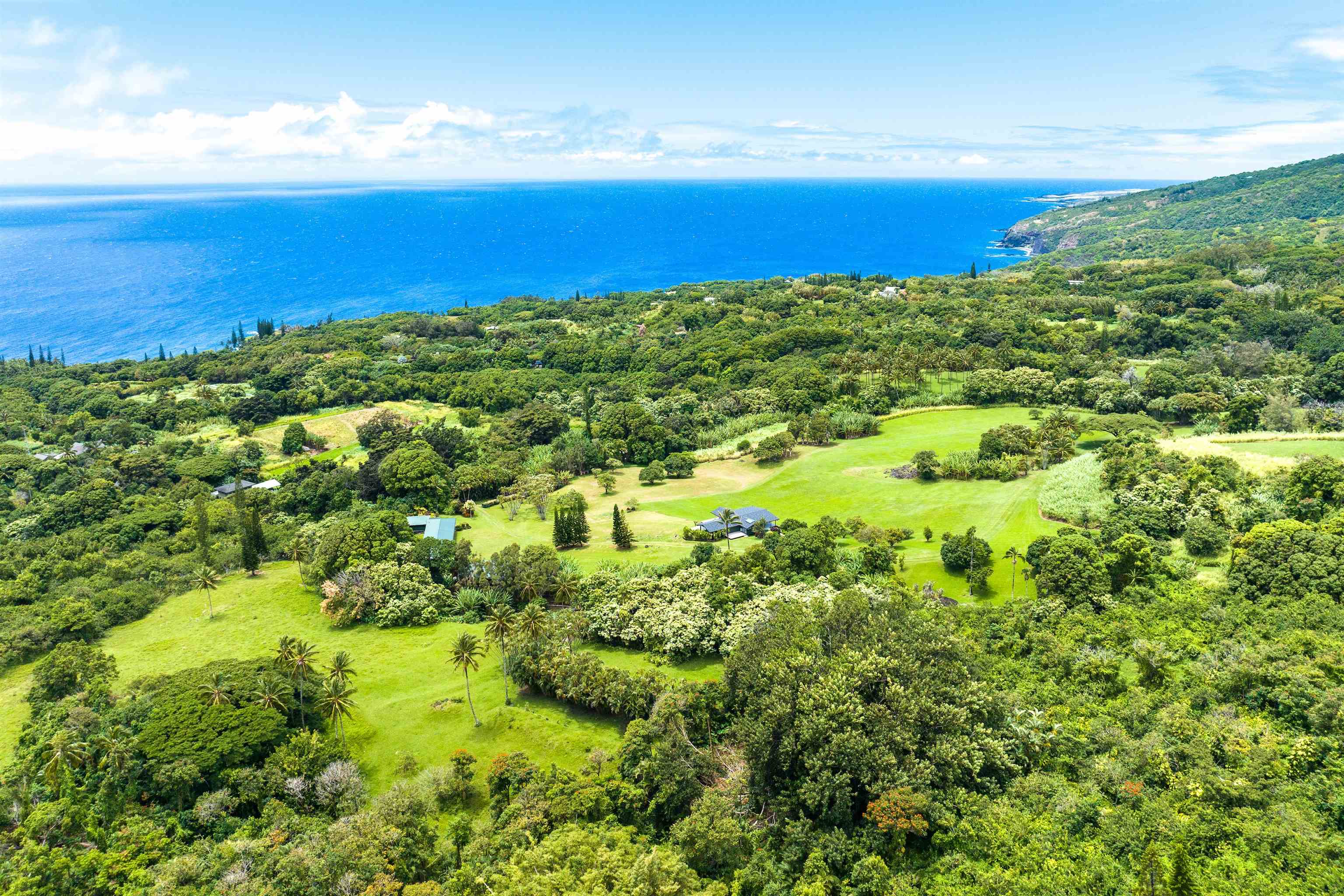 40723  Hana Hwy Kipahulu, Hana home - photo 20 of 25