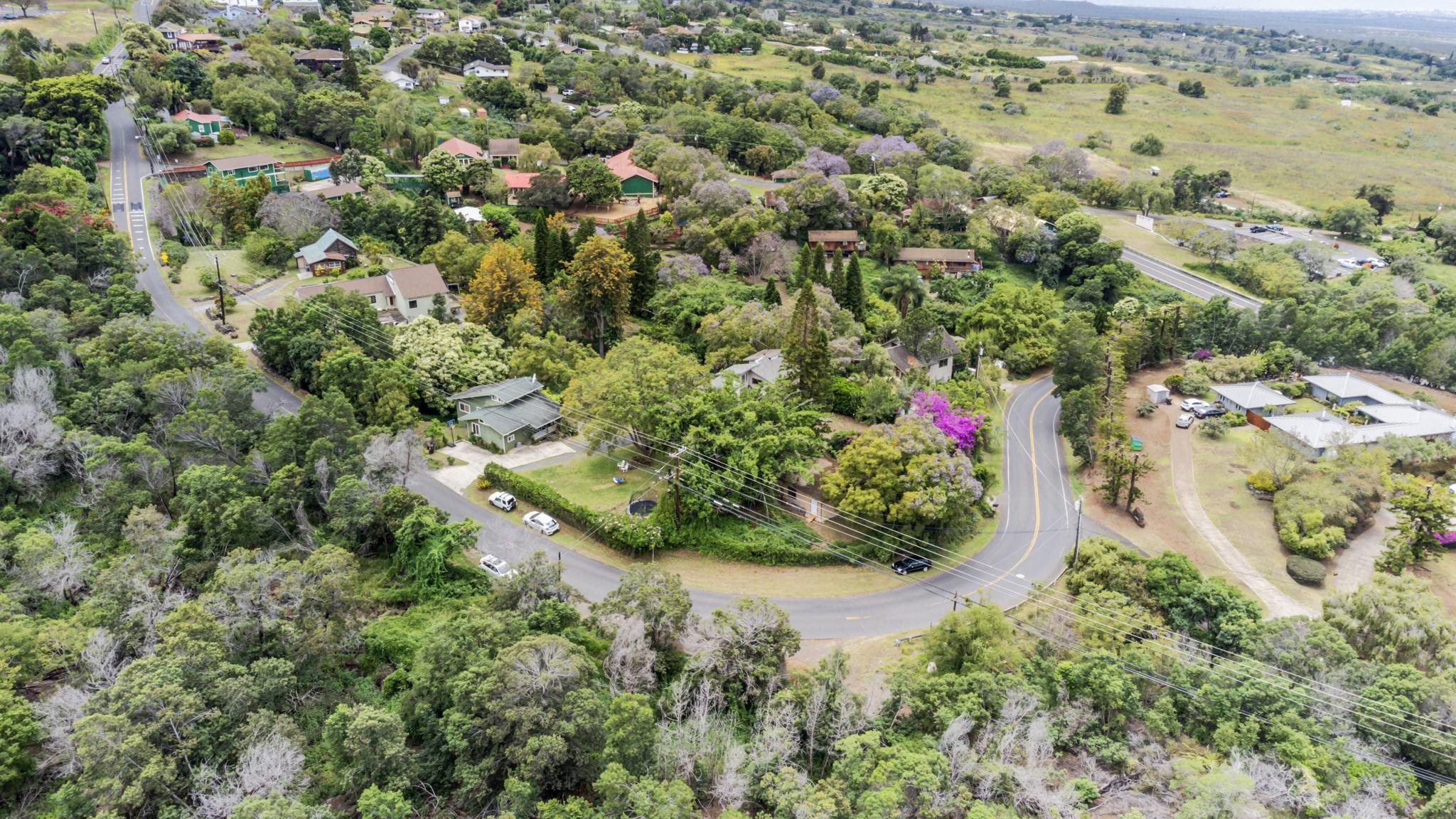 4074 & 4078  Lower Kula Rd , Kula/Ulupalakua/Kanaio home - photo 44 of 45