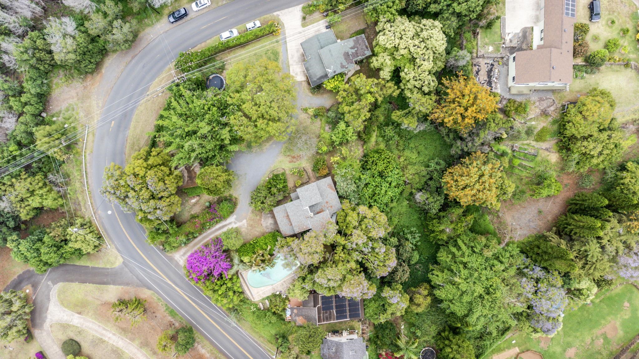 4074 & 4078  Lower Kula Rd , Kula/Ulupalakua/Kanaio home - photo 45 of 45