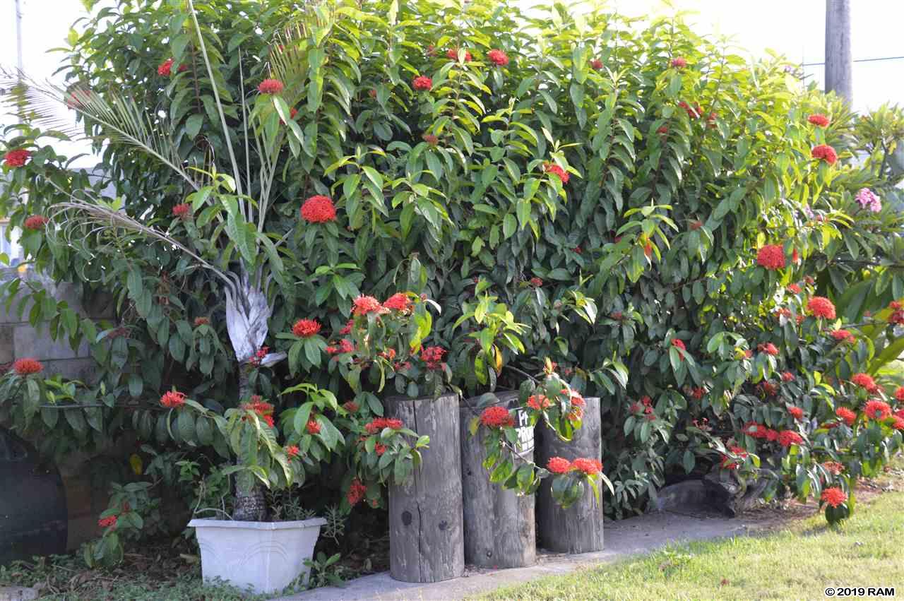 408 WAIEHU BEACH Rd  Wailuku, Hi vacant land for sale - photo 12 of 17