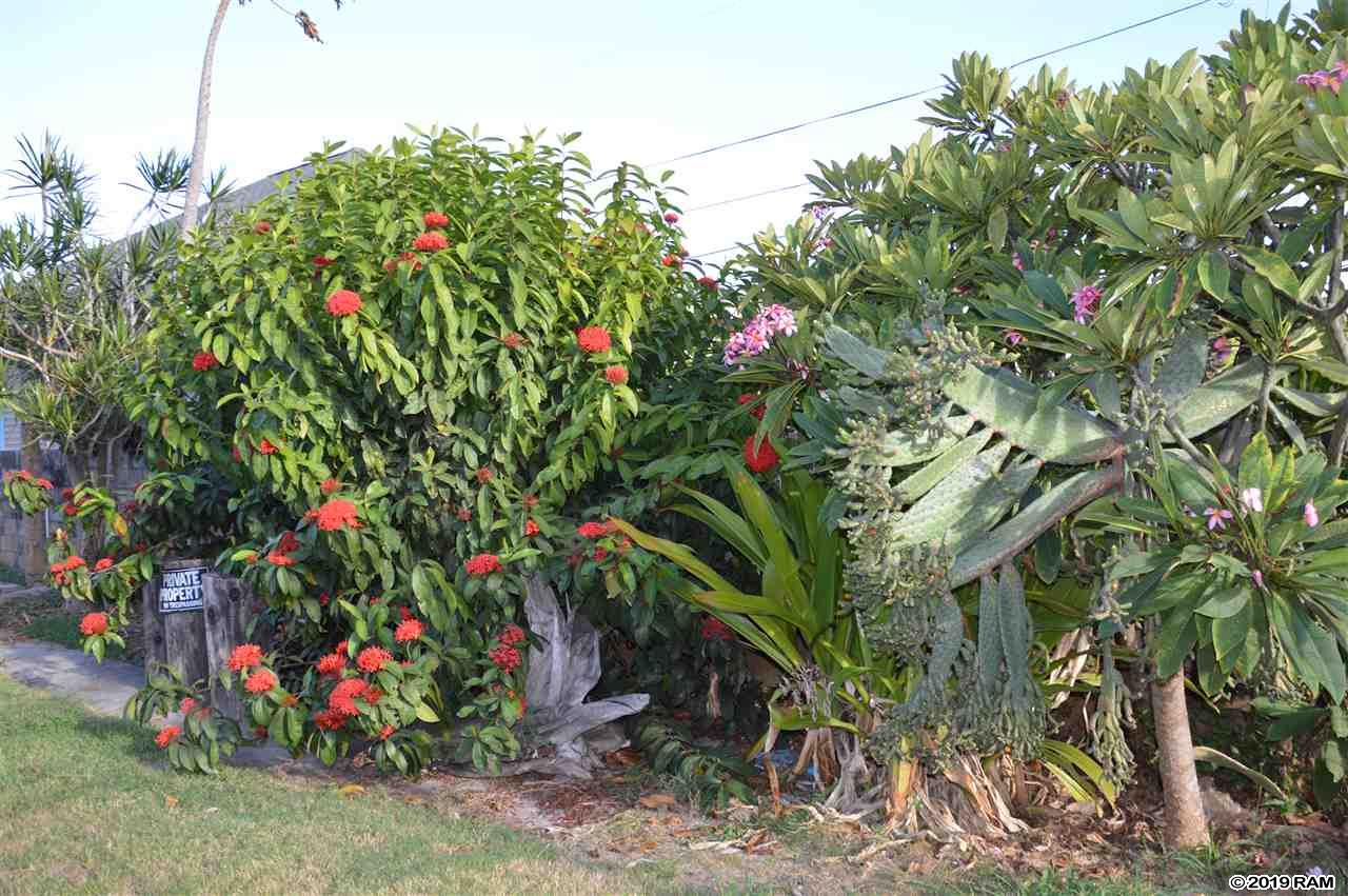 408 WAIEHU BEACH Rd  Wailuku, Hi vacant land for sale - photo 13 of 17
