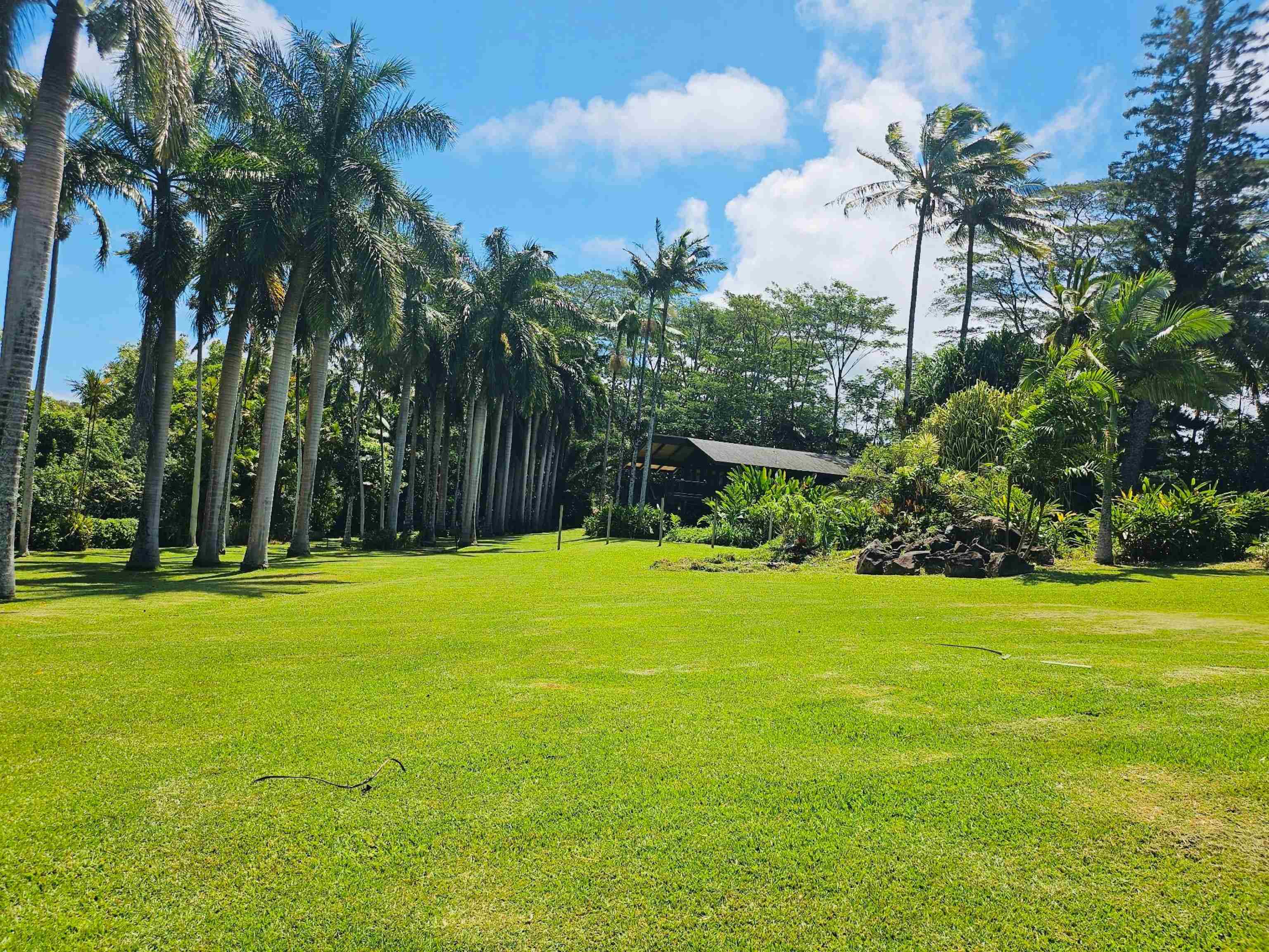 4080  Aliikoa Pl Haiku, Haiku home - photo 11 of 50