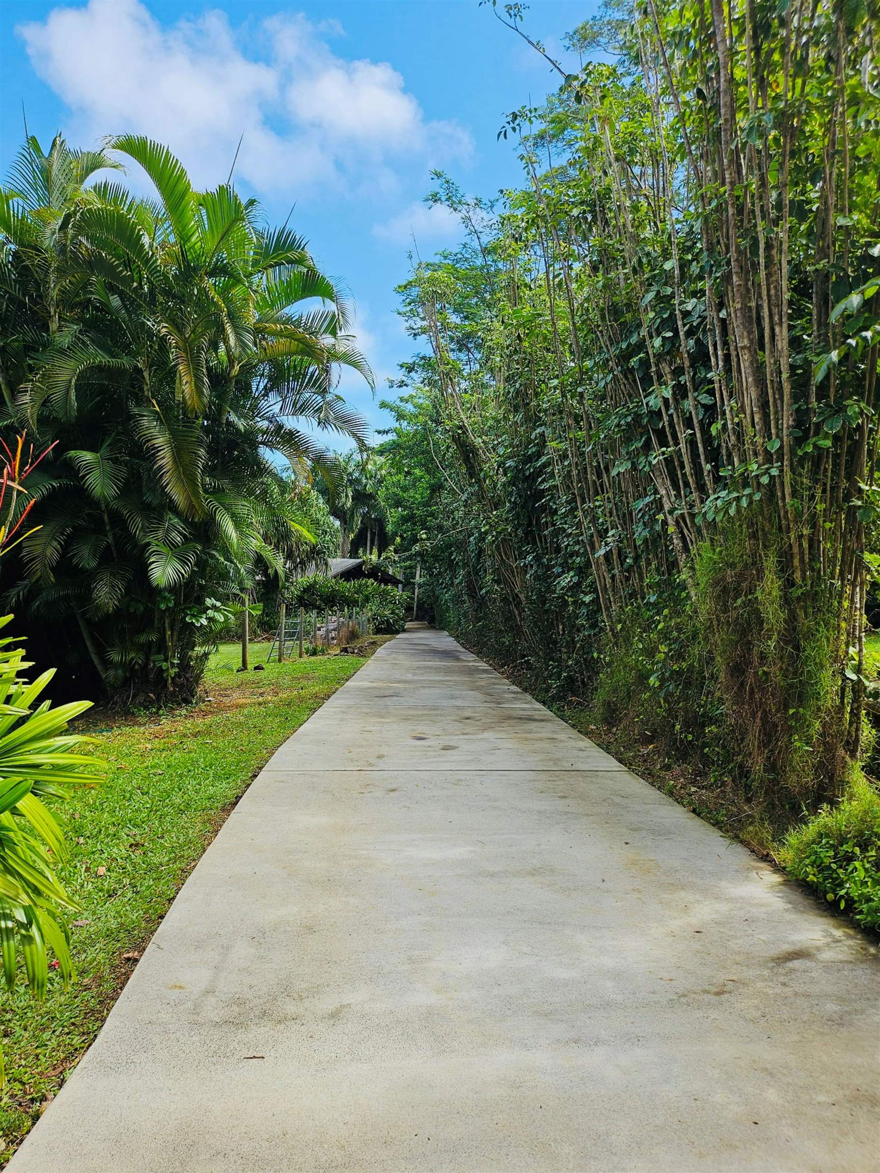 4080  Aliikoa Pl Haiku, Haiku home - photo 16 of 50