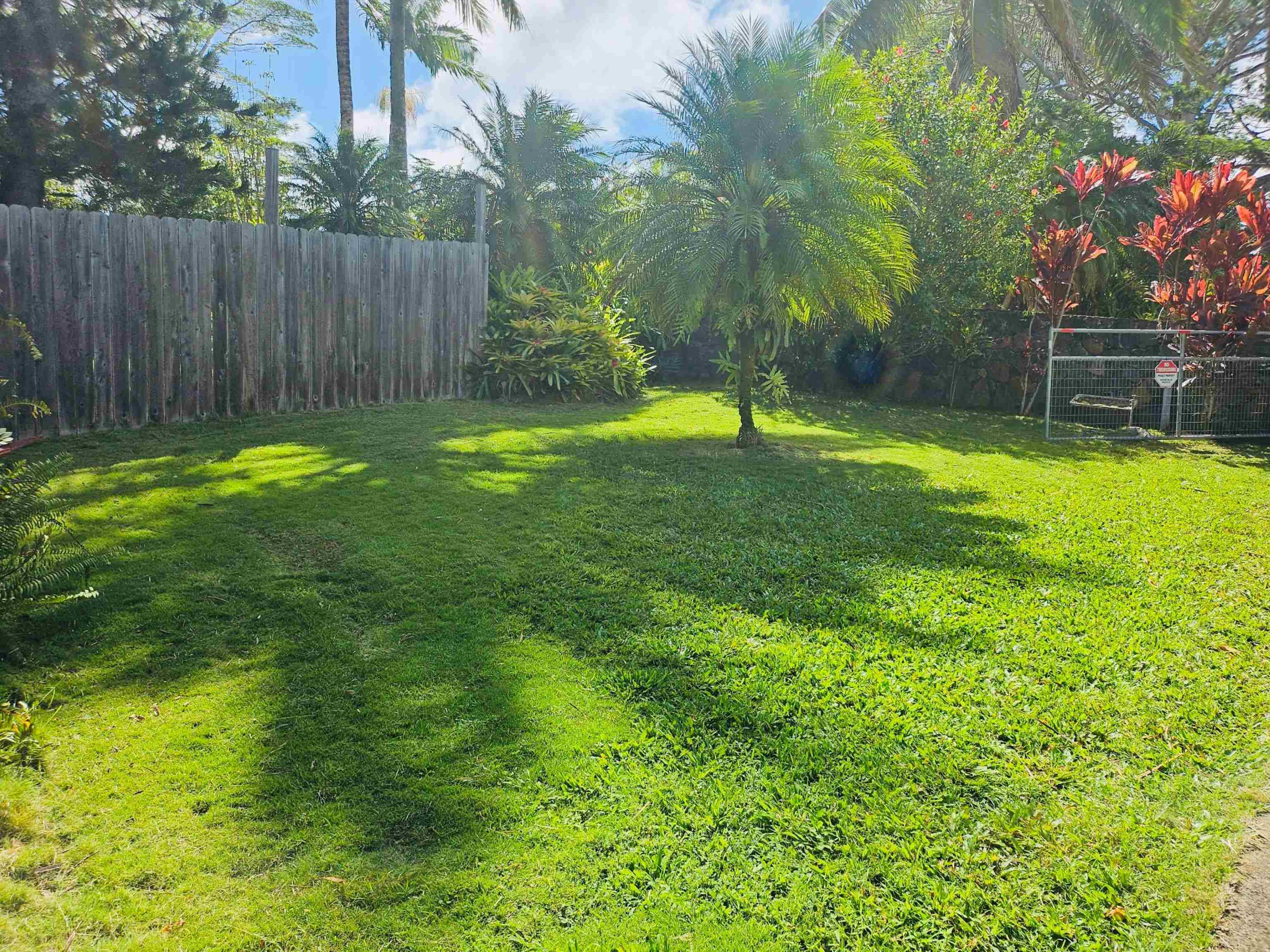 4080  Aliikoa Pl Haiku, Haiku home - photo 4 of 50