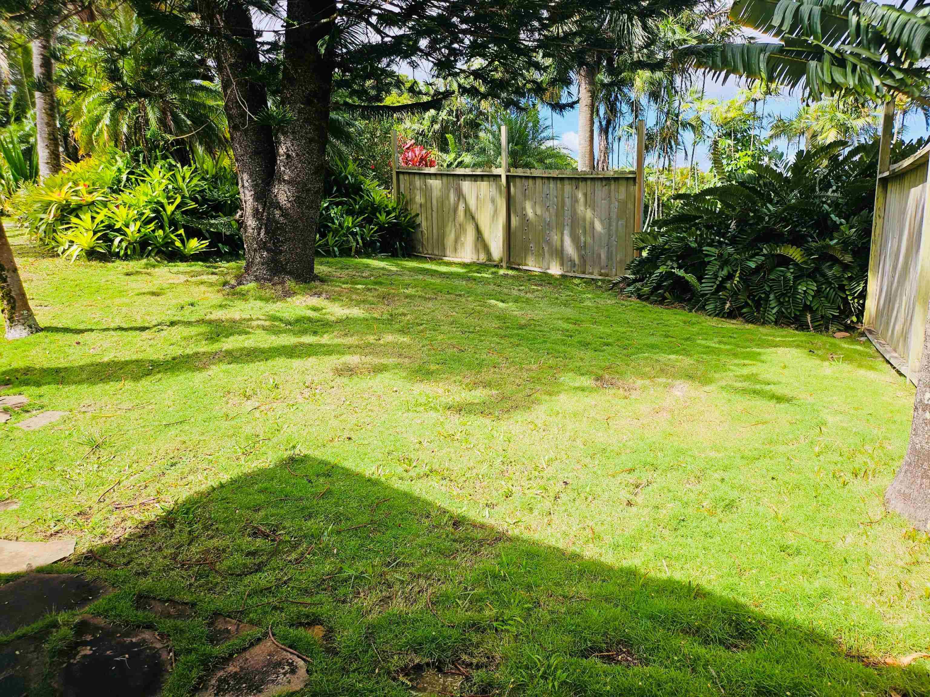 4080  Aliikoa Pl Haiku, Haiku home - photo 6 of 50