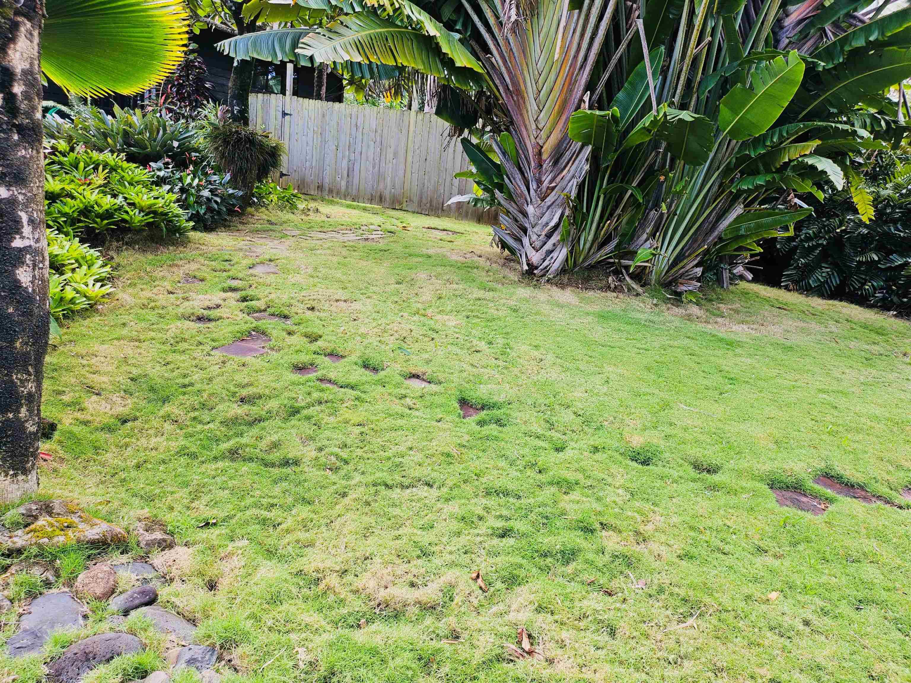 4080  Aliikoa Pl Haiku, Haiku home - photo 7 of 50