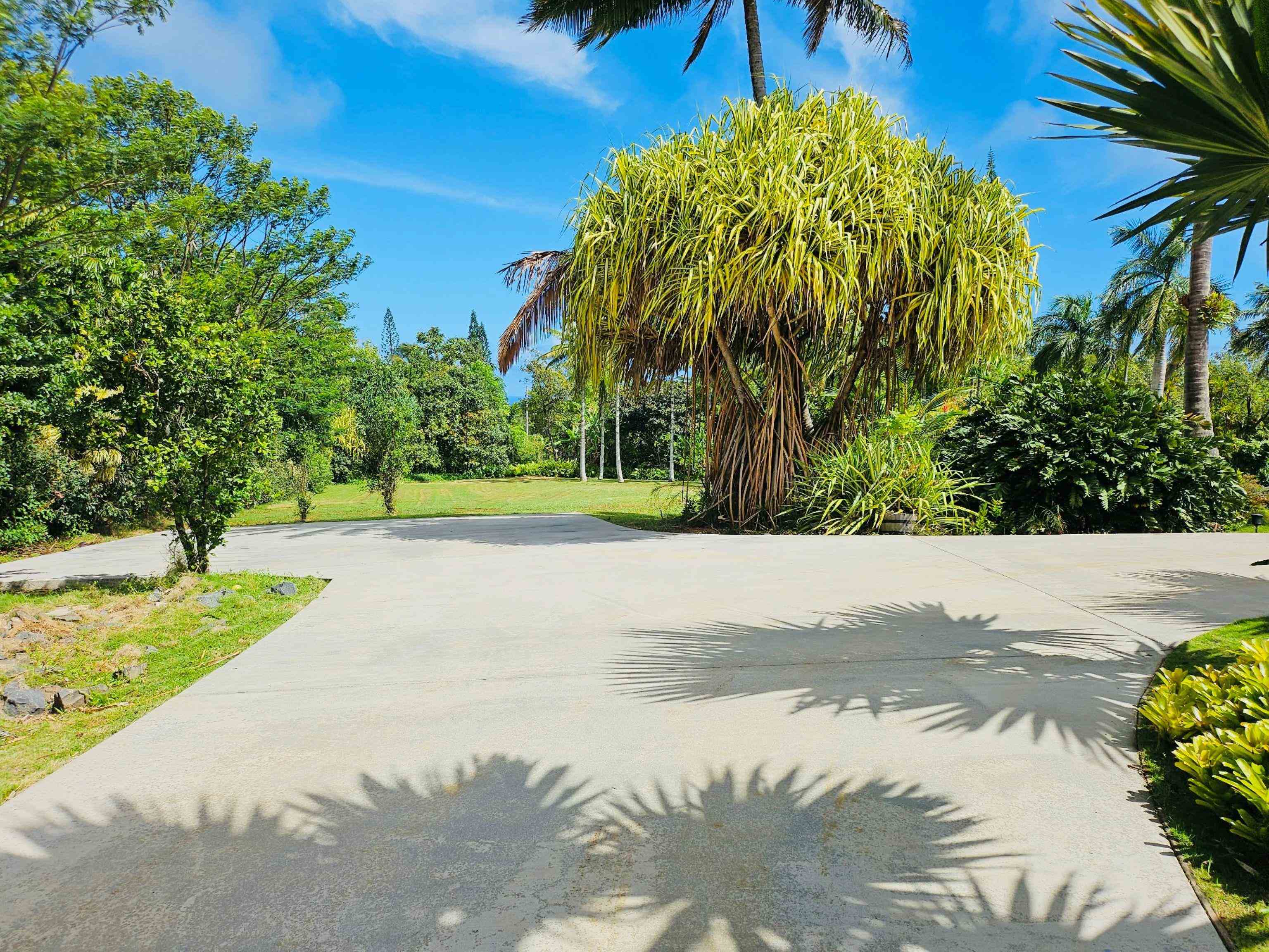 4080  Aliikoa Pl Haiku, Haiku home - photo 8 of 50