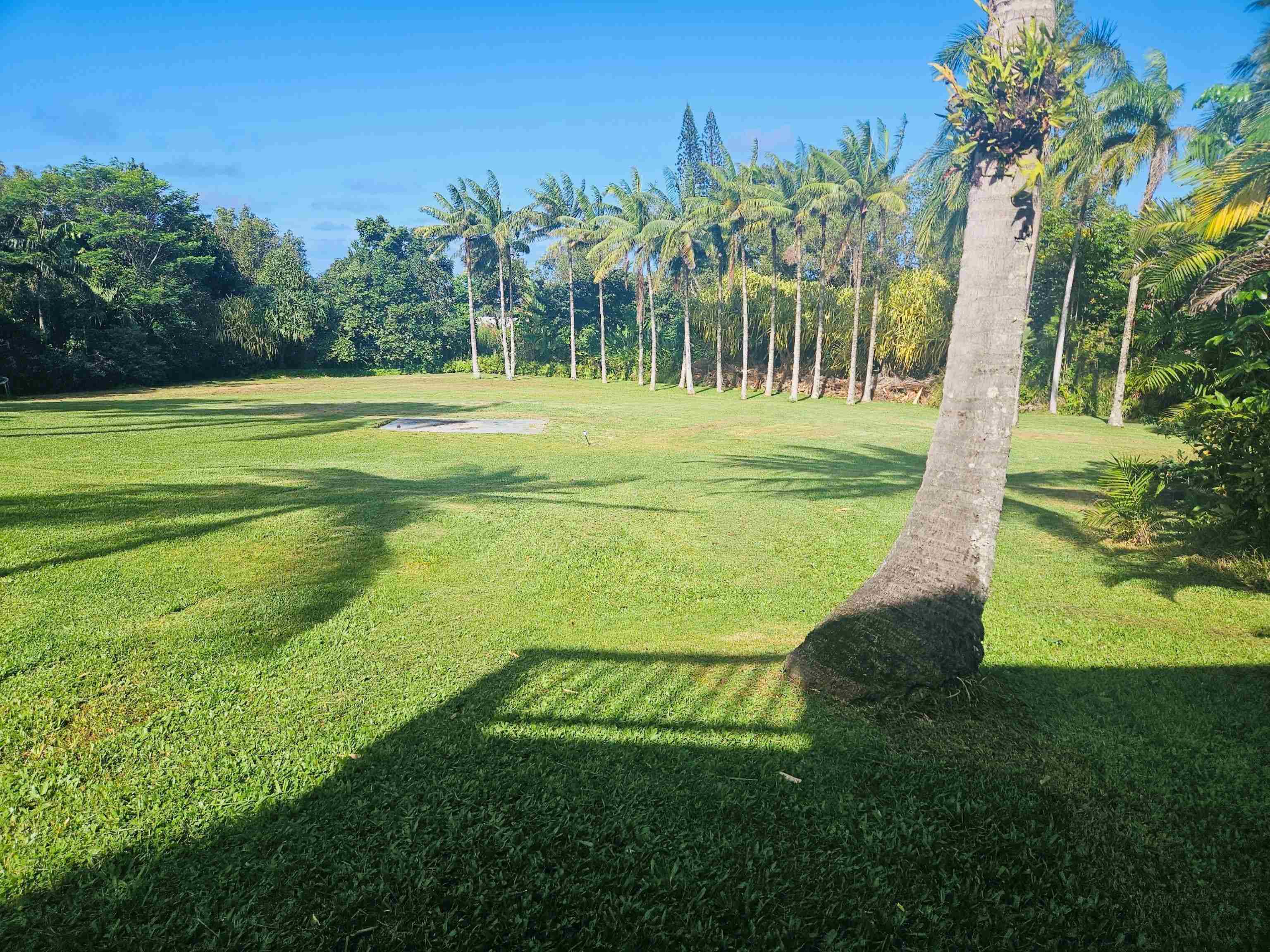 4080  Aliikoa Pl Haiku, Haiku home - photo 9 of 50