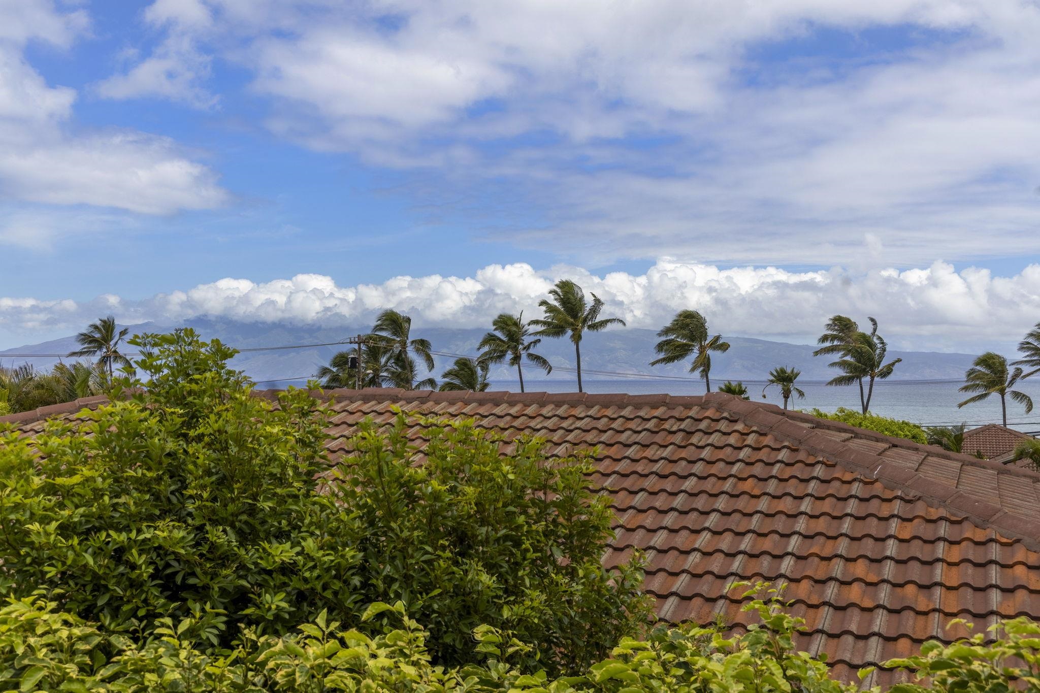 4087  Paua Way Kapalani Estates, Napili/Kahana/Honokowai home - photo 15 of 50