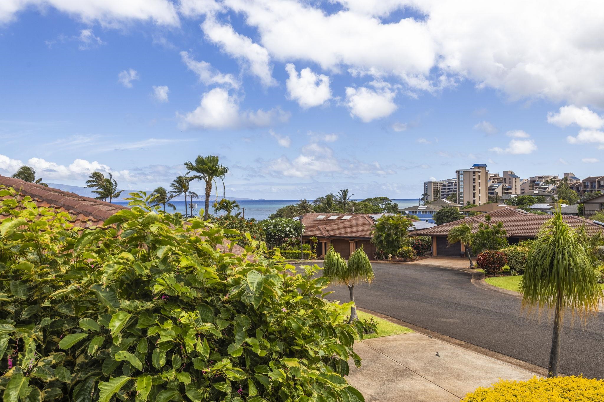 4087  Paua Way Kapalani Estates, Napili/Kahana/Honokowai home - photo 16 of 50