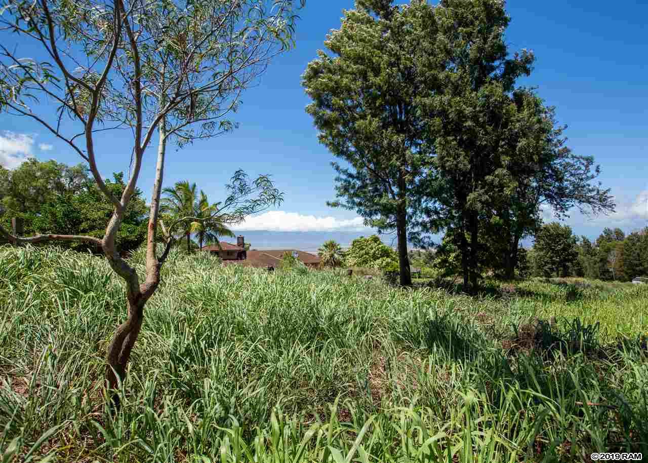 409 Hoopalua Dr  Pukalani, Hi vacant land for sale - photo 13 of 15