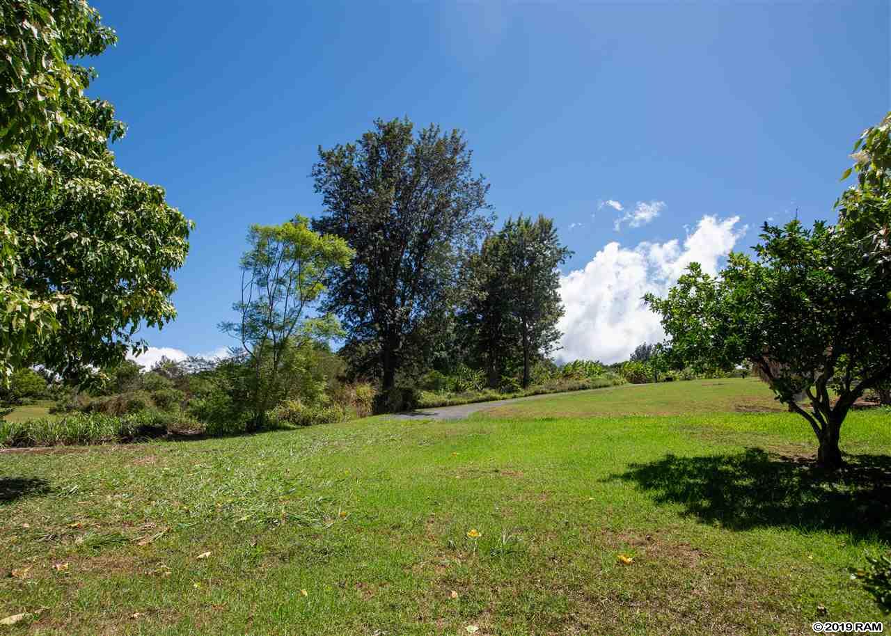 409 Hoopalua Dr  Pukalani, Hi vacant land for sale - photo 6 of 15