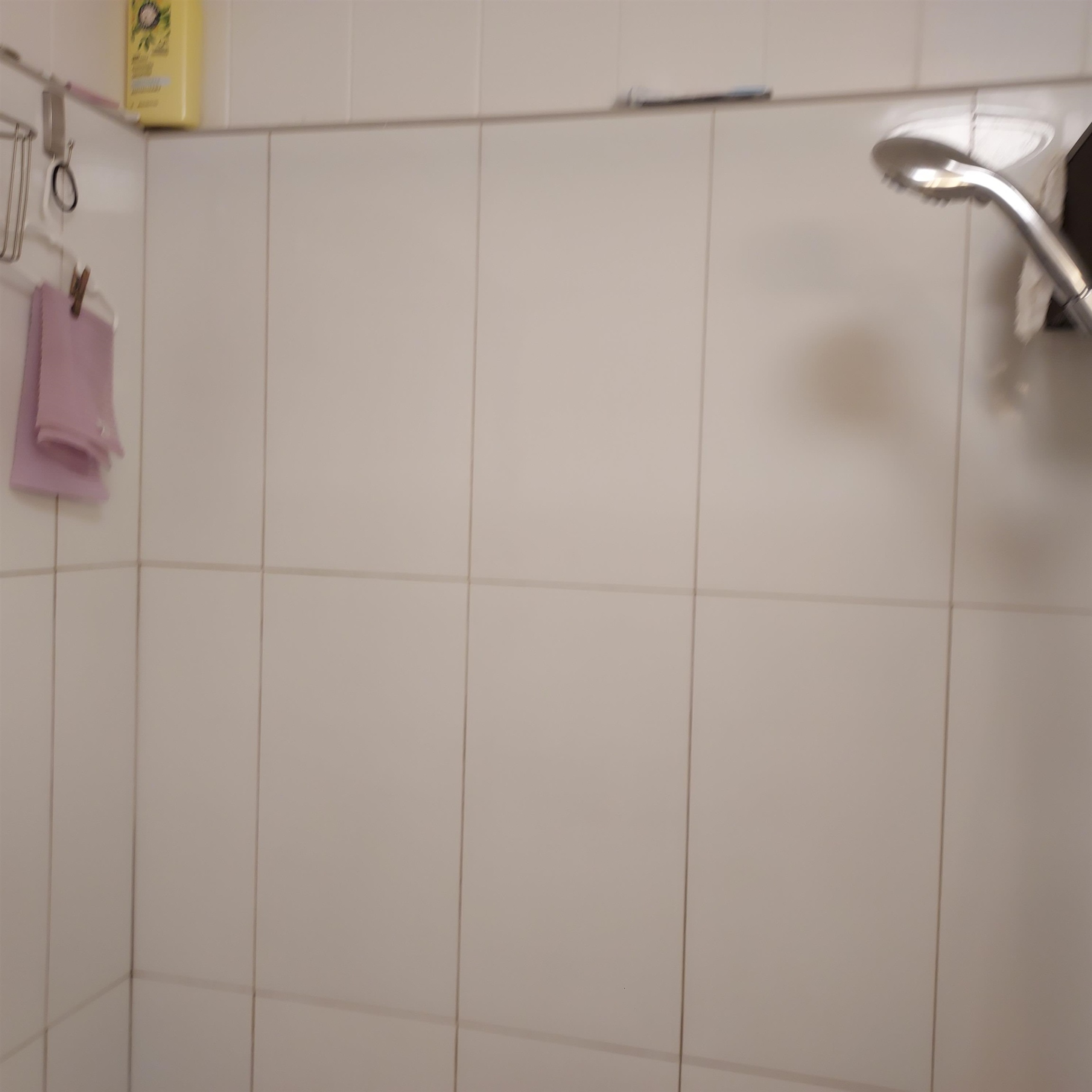 409  Waiehu Beach Rd , Wailuku home - photo 10 of 19