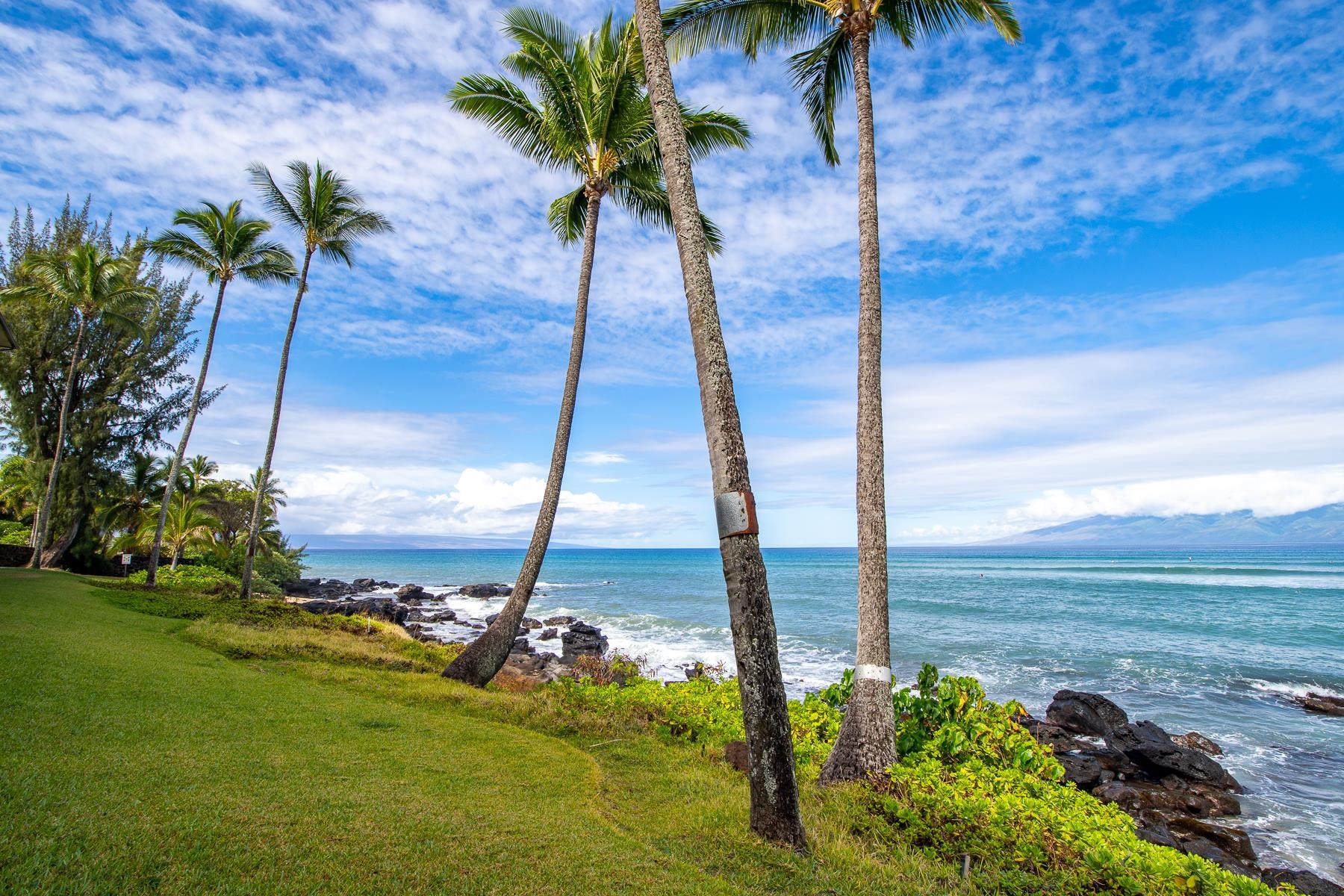 Noelani condo # 212B, Lahaina, Hawaii - photo 21 of 32