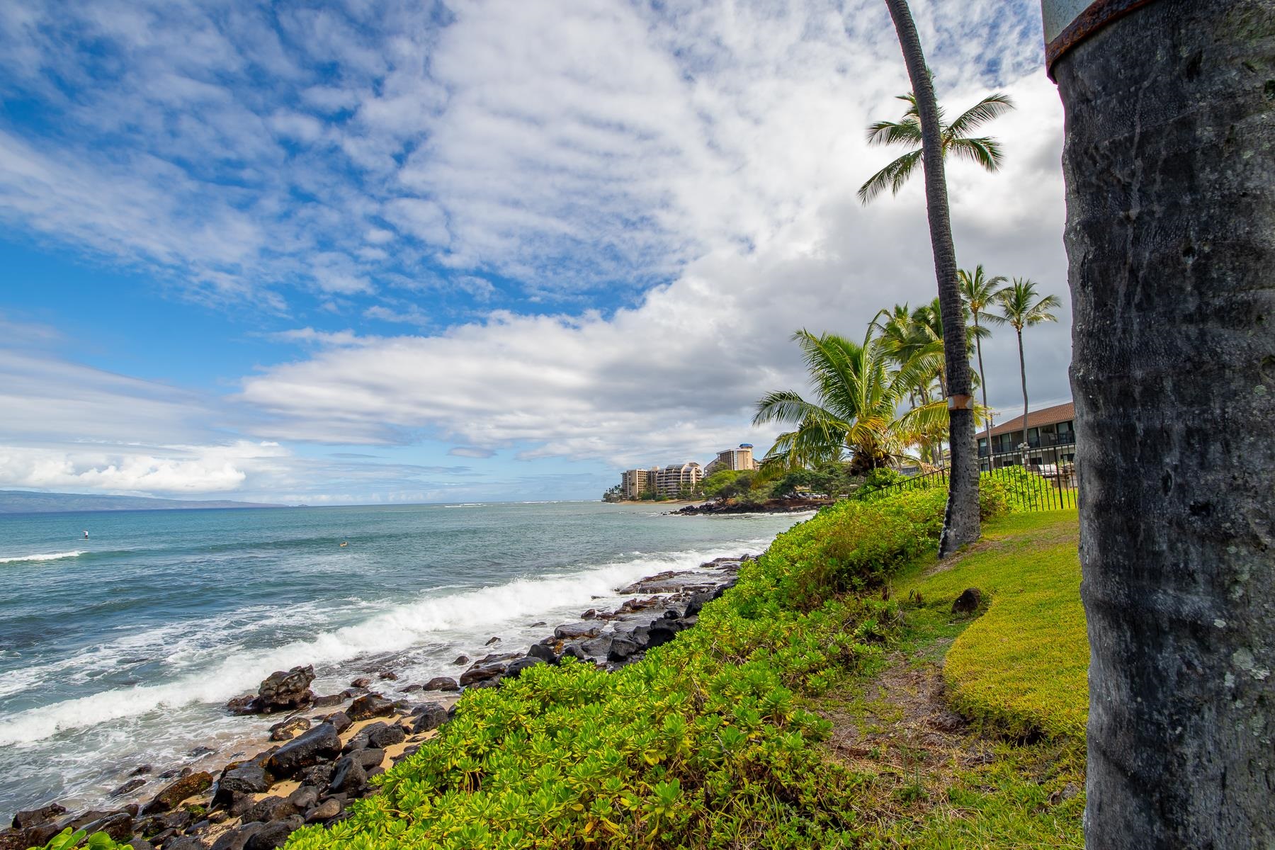 Noelani condo # 212B, Lahaina, Hawaii - photo 22 of 32