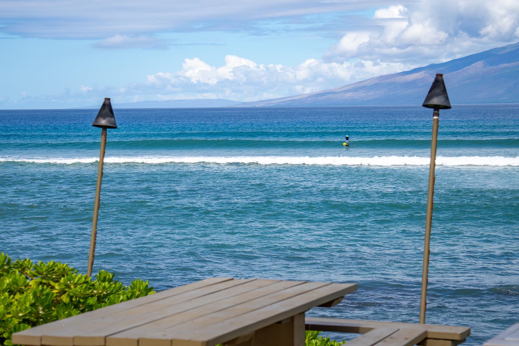 Noelani condo # 212B, Lahaina, Hawaii - photo 23 of 32