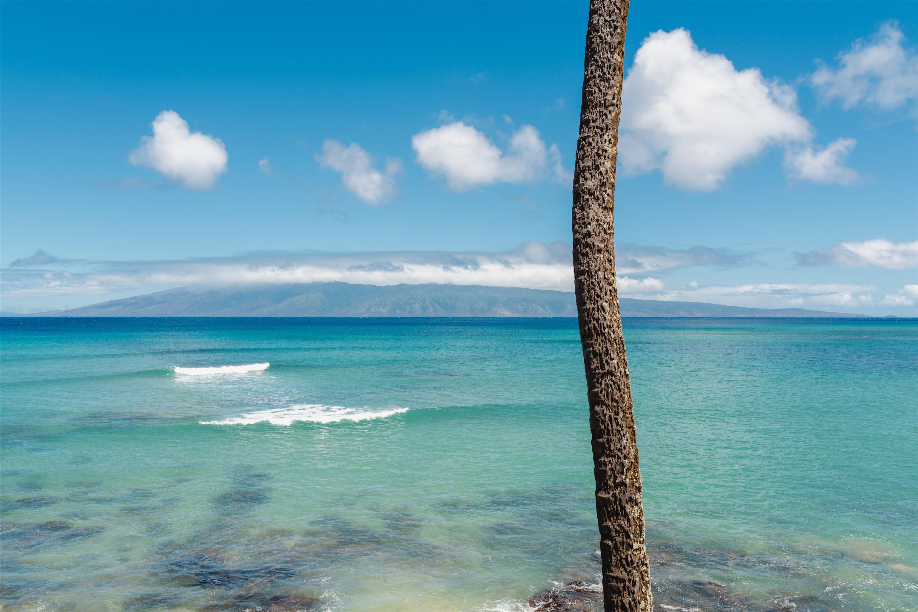 Noelani condo # 219C, Lahaina, Hawaii - photo 25 of 31