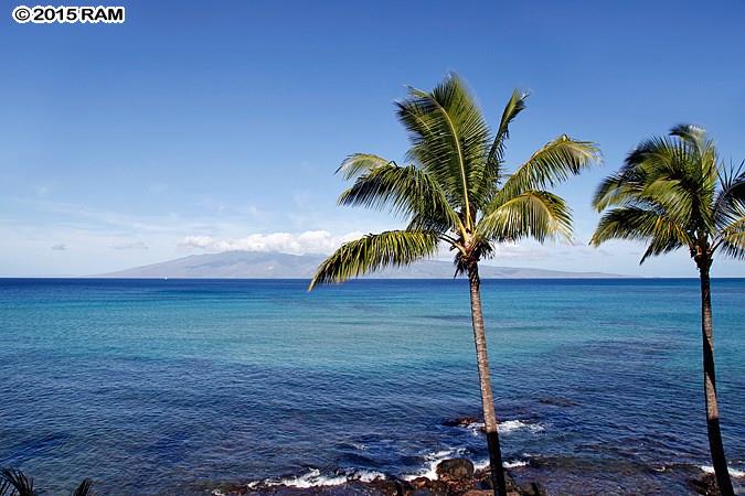 Noelani condo # 306A, Lahaina, Hawaii - photo 20 of 24
