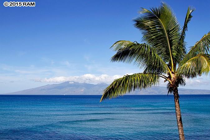 Noelani condo # 306A, Lahaina, Hawaii - photo 23 of 24