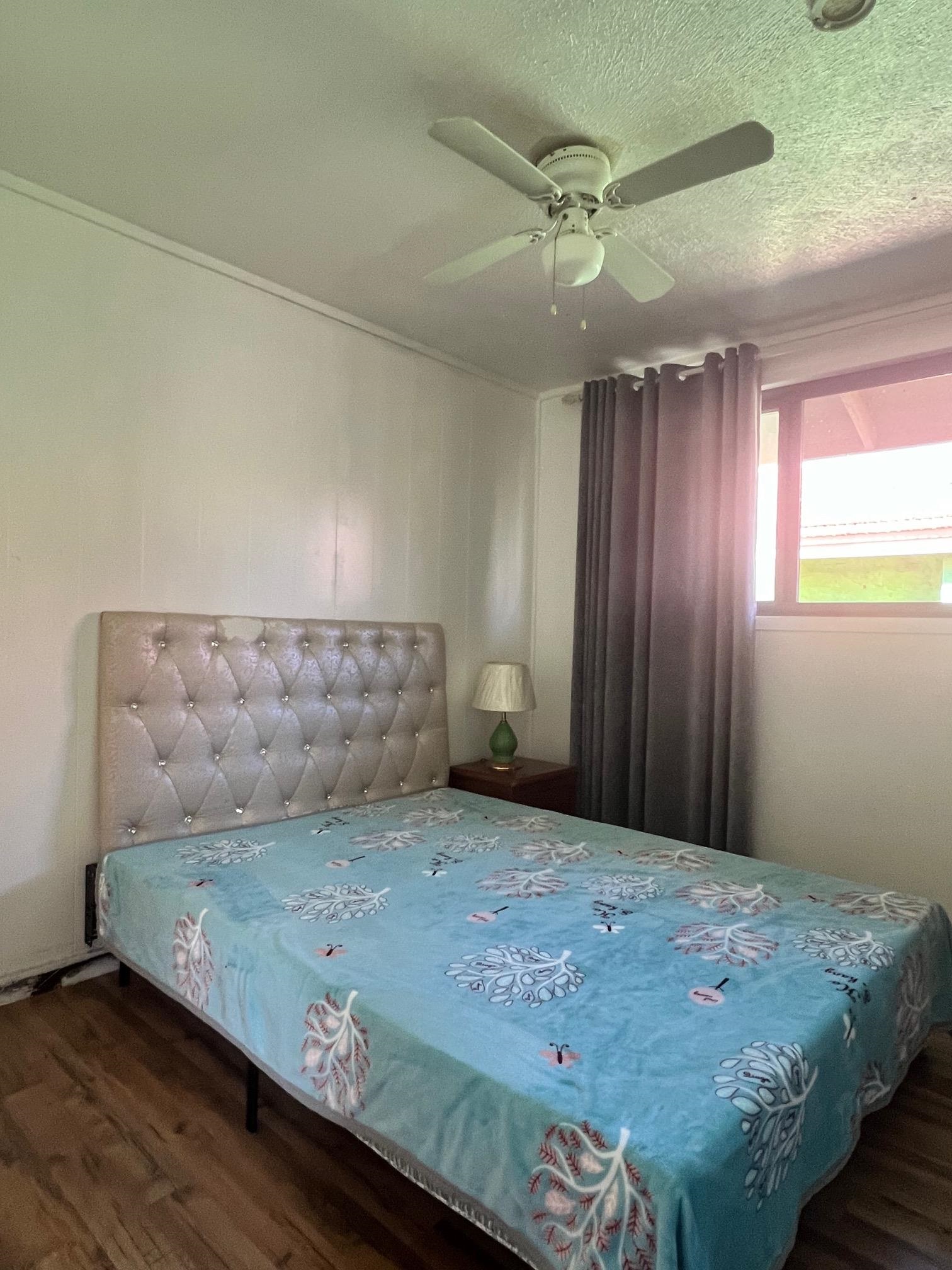 41  Ani St , Kahului home - photo 3 of 13