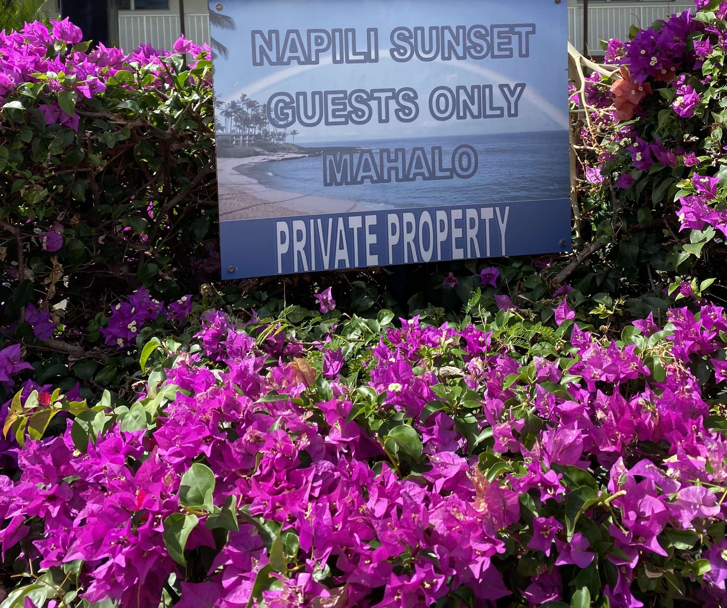 Napili Sunset condo # 118, Lahaina, Hawaii - photo 29 of 30
