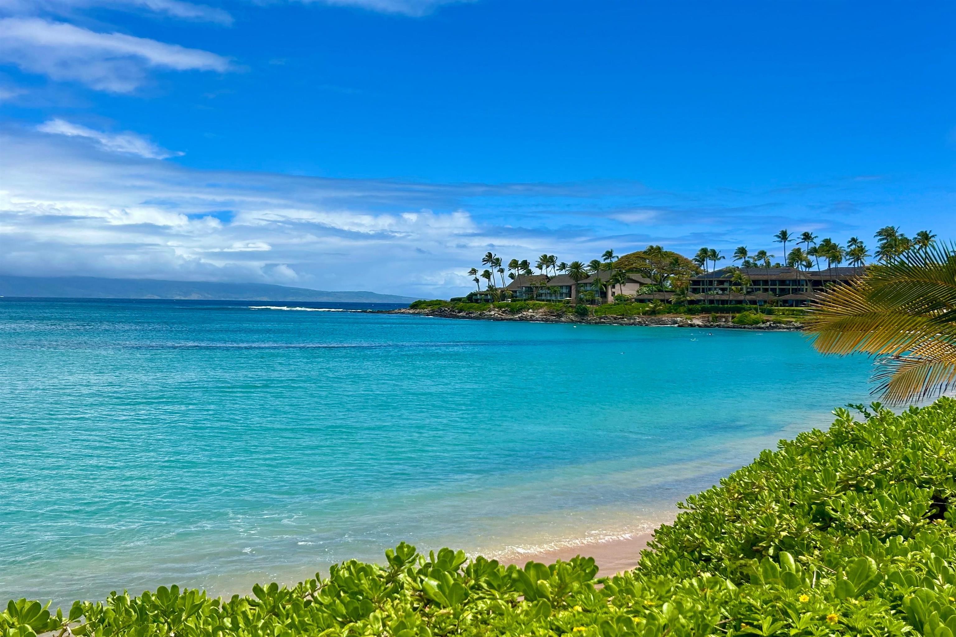 Napili Sunset condo # 119, Lahaina, Hawaii - photo 15 of 15
