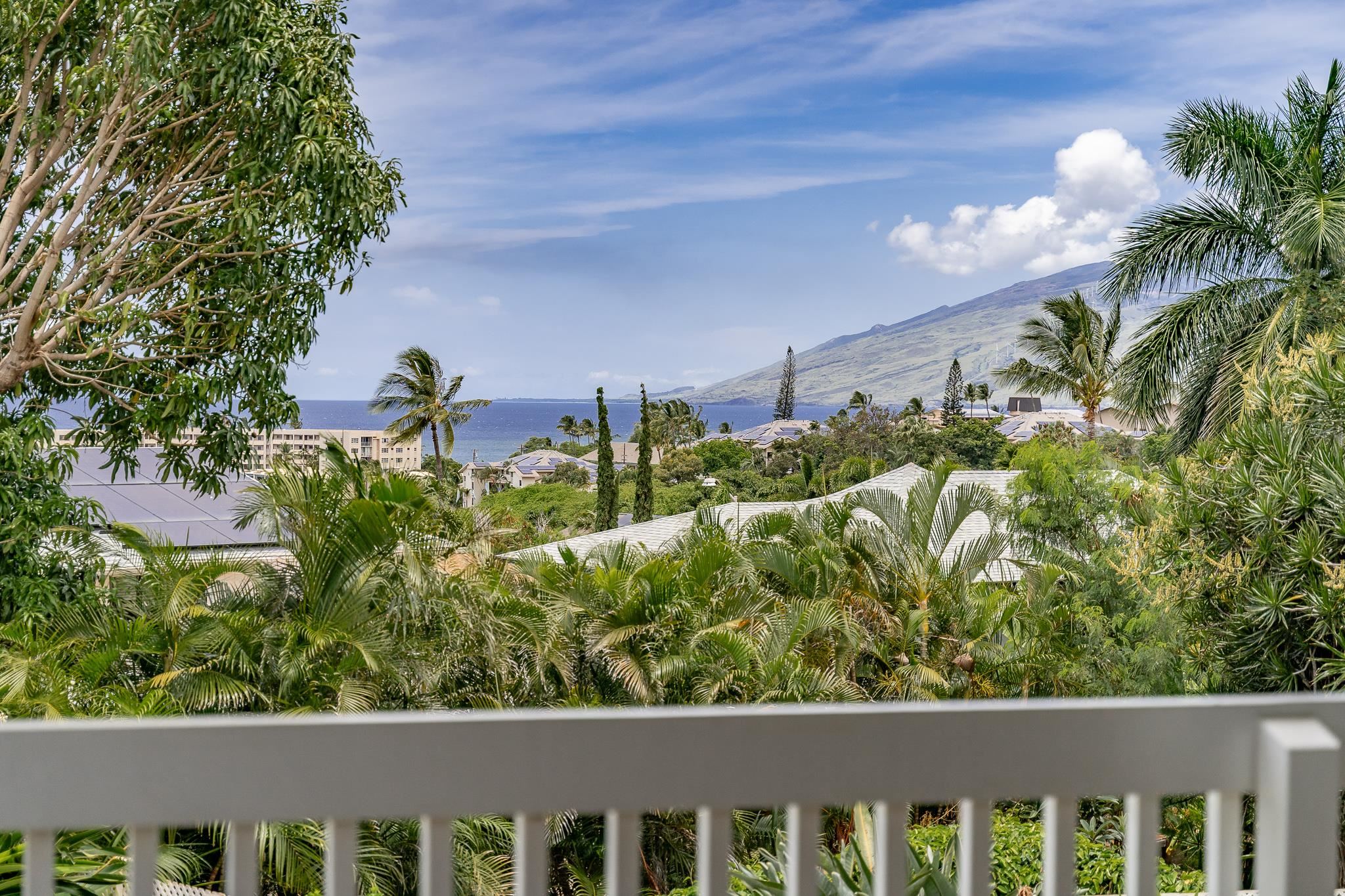 41  Iliwai Loop , Kihei home - photo 2 of 48