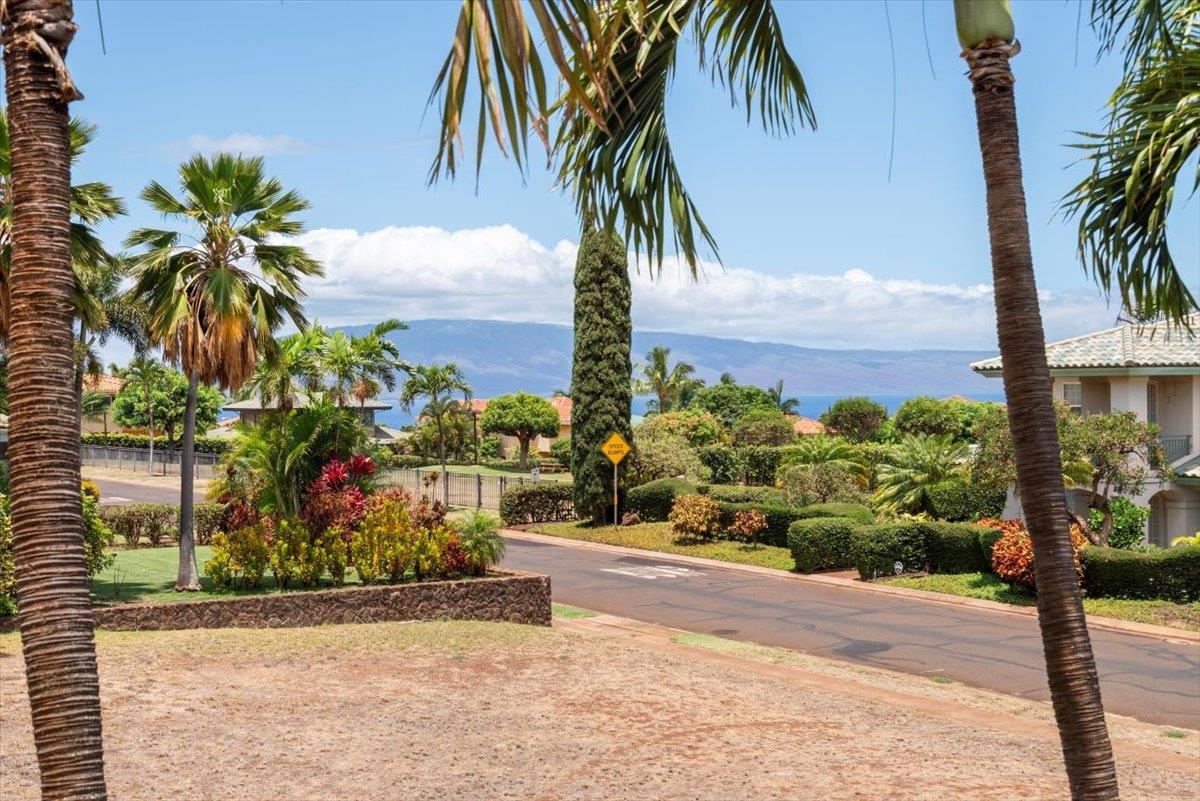 41  Pihaa St Kaanapali Hillside, Kaanapali home - photo 33 of 46