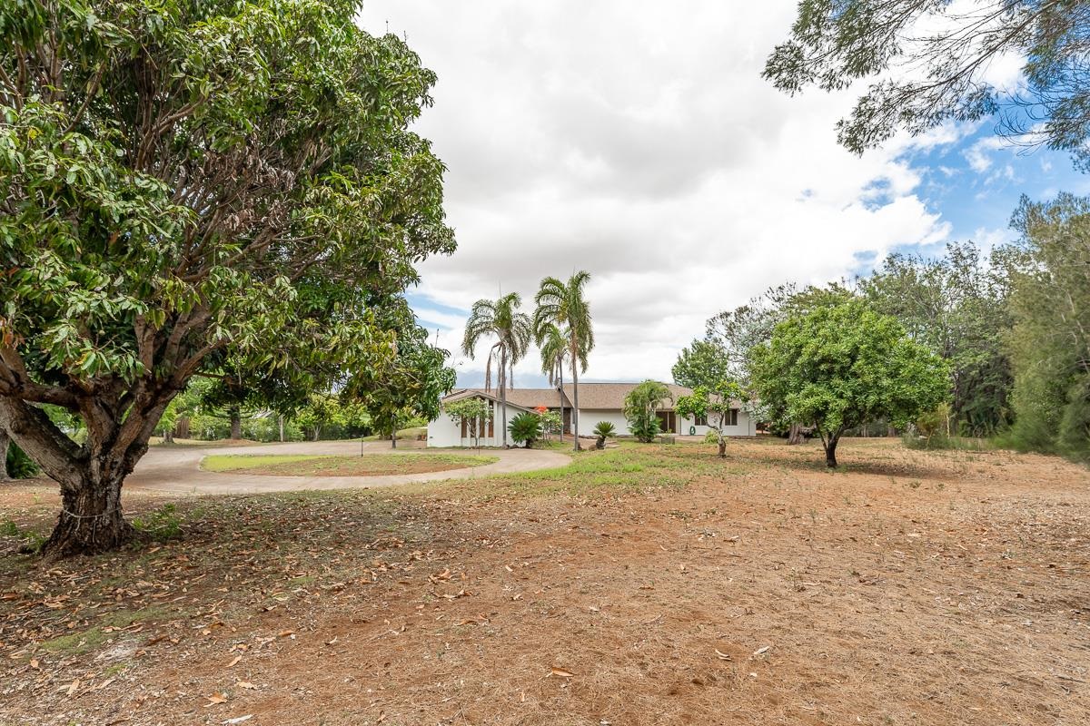 41  Poha Pl , Makawao/Olinda/Haliimaile home - photo 20 of 21