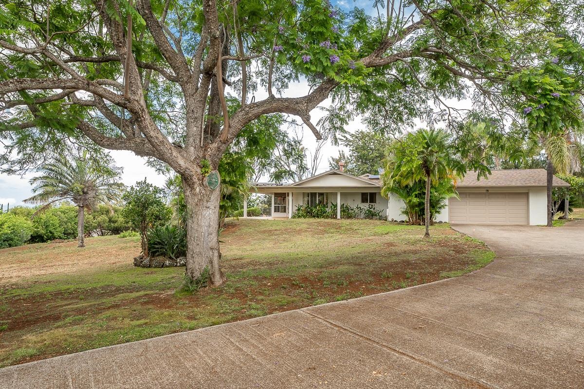 41  Poha Pl , Makawao/Olinda/Haliimaile home - photo 3 of 21