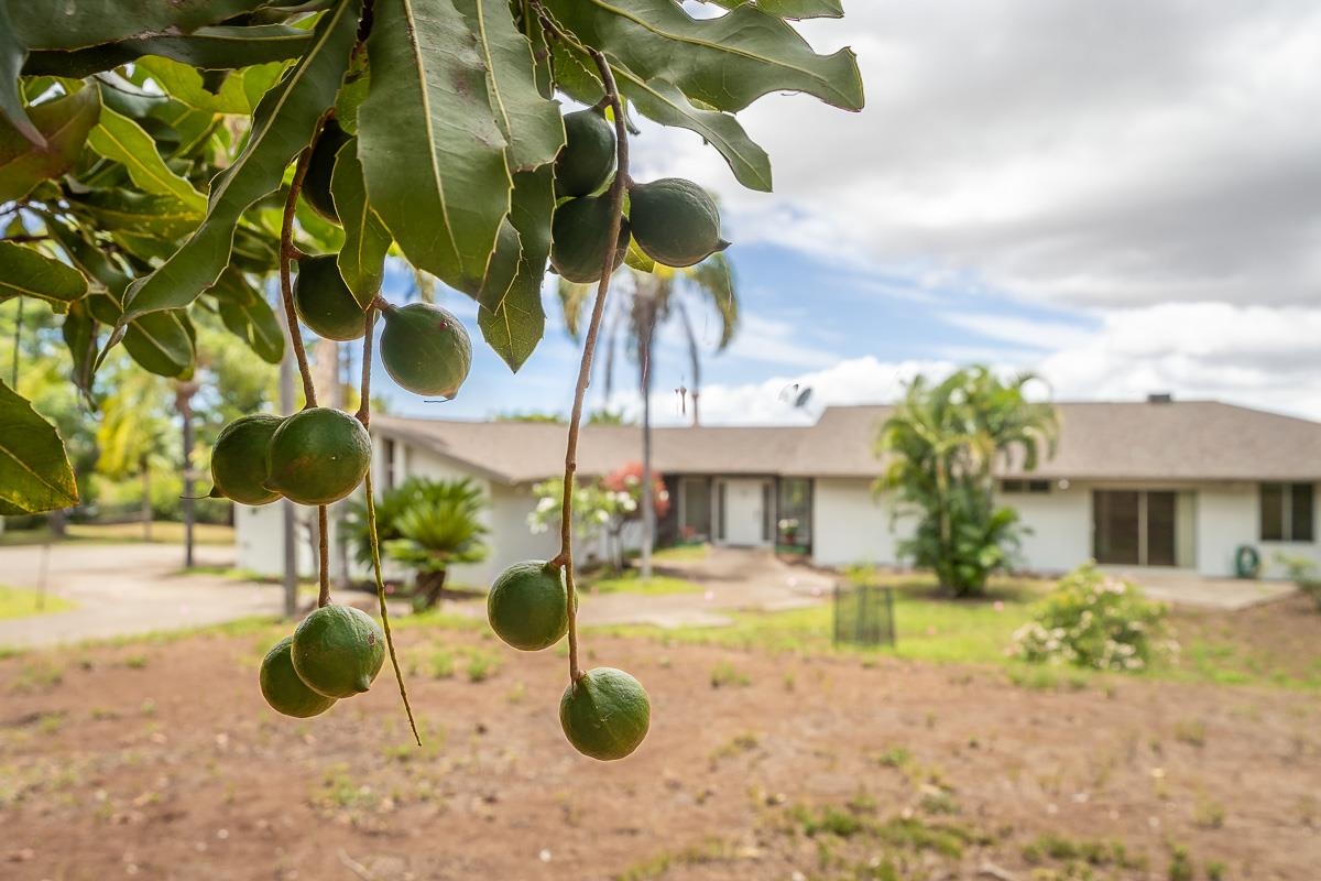 41  Poha Pl , Makawao/Olinda/Haliimaile home - photo 21 of 21