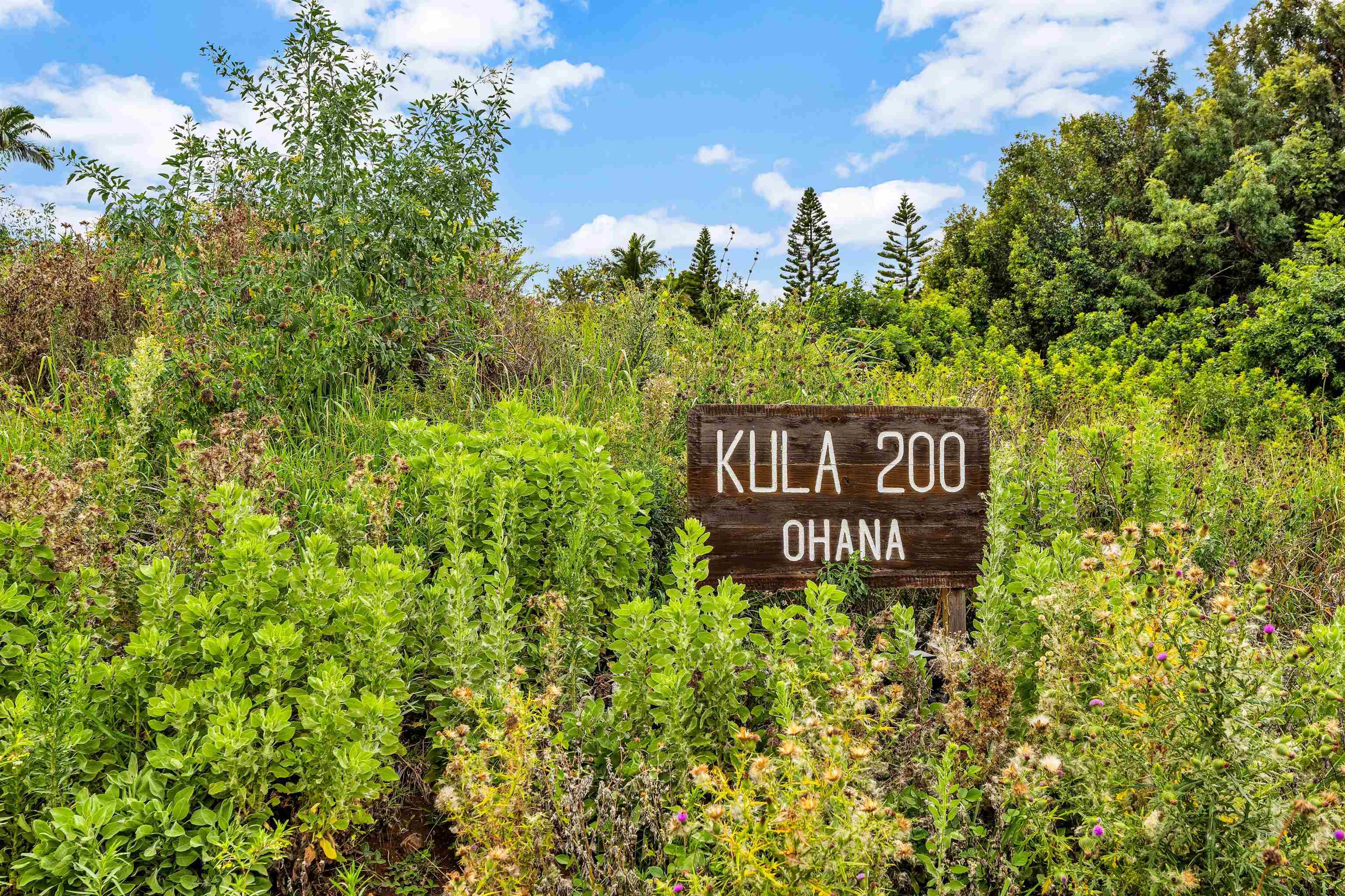 41  Poha Pl Kula 200, Pukalani home - photo 44 of 44