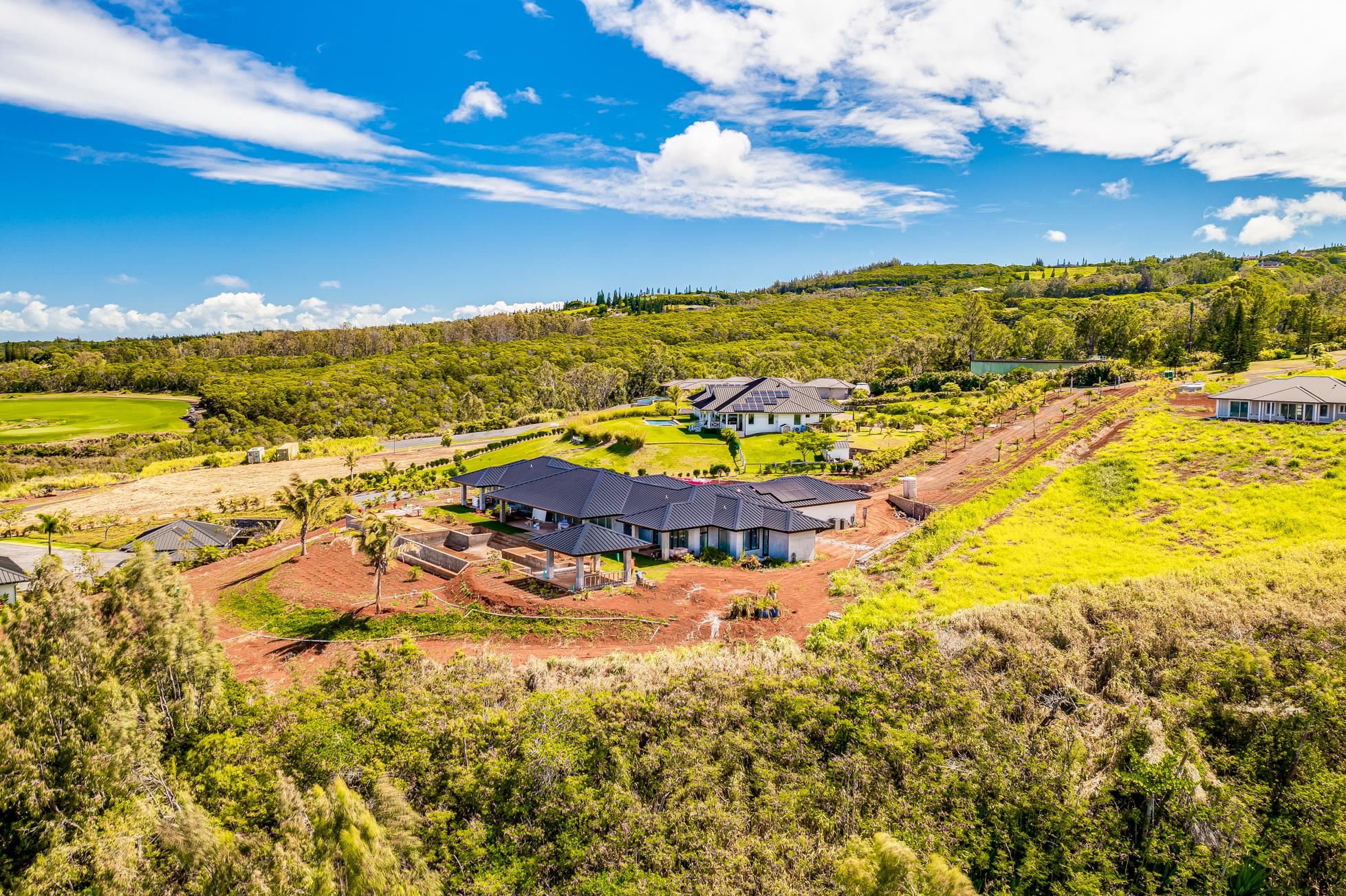 410  Mahana Ridge St Kapalua, Kapalua home - photo 6 of 31