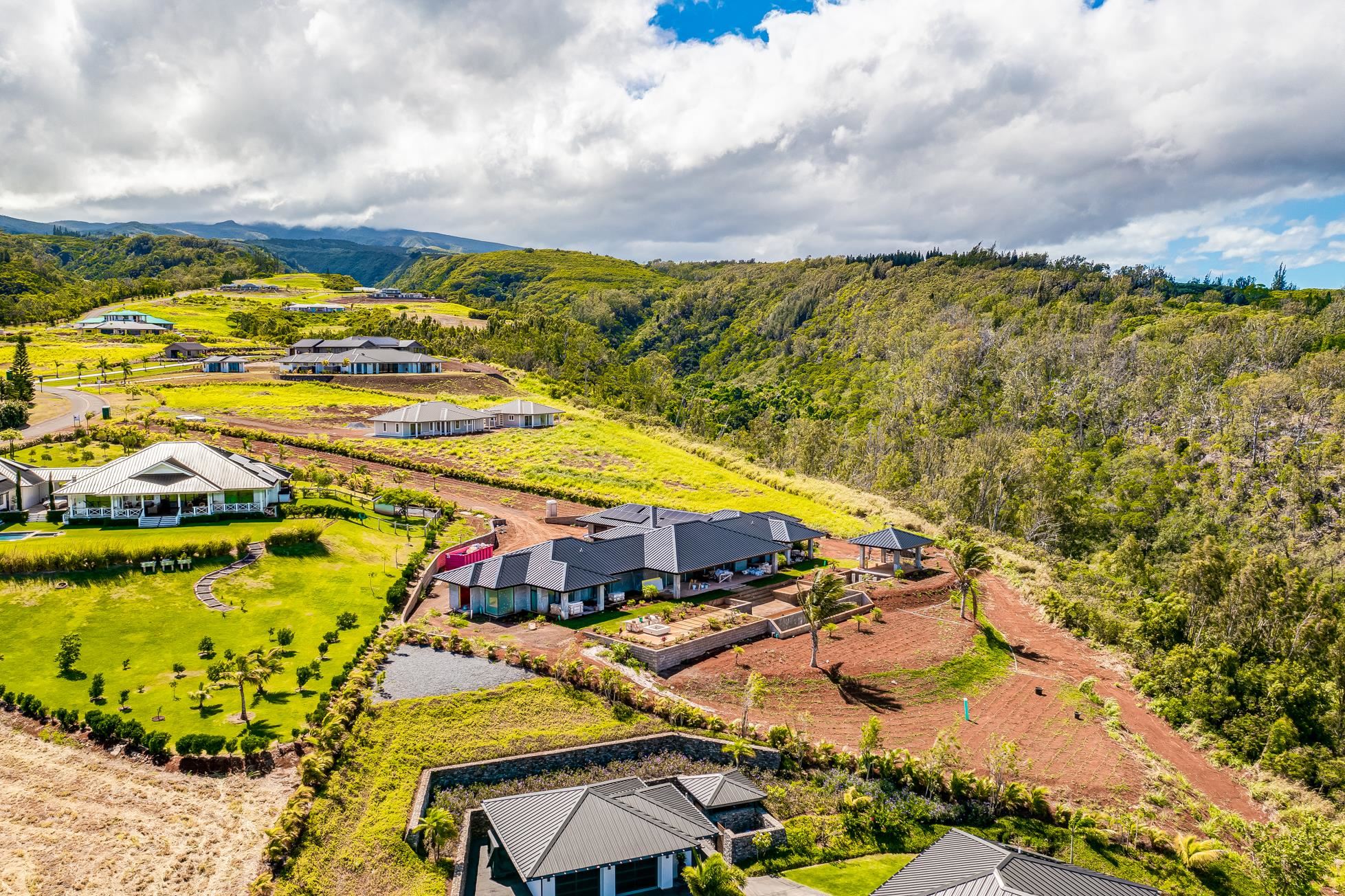 410  Mahana Ridge St Kapalua, Kapalua home - photo 7 of 31