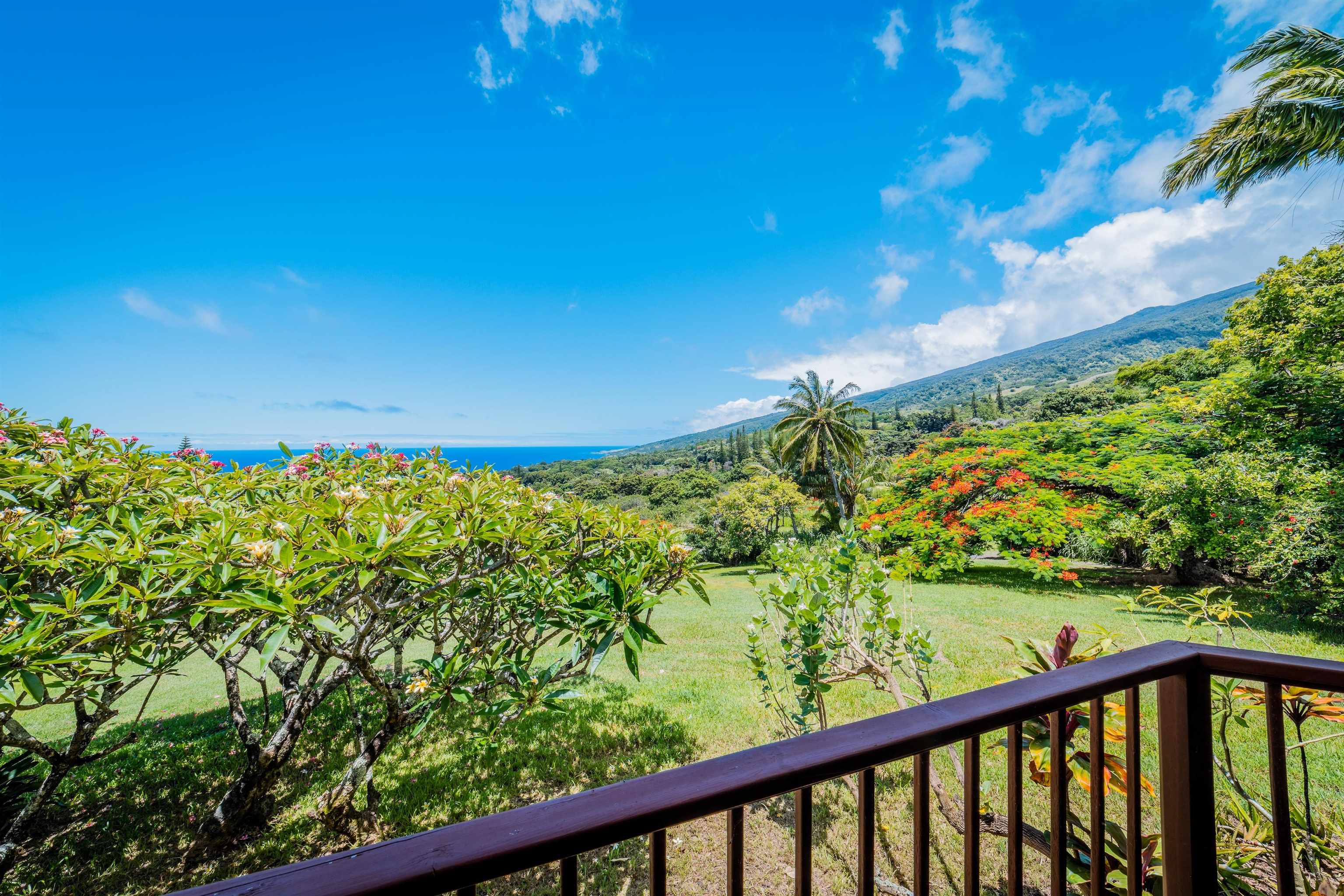 41049  Hana Hwy Kipahulu, Hana home - photo 23 of 38