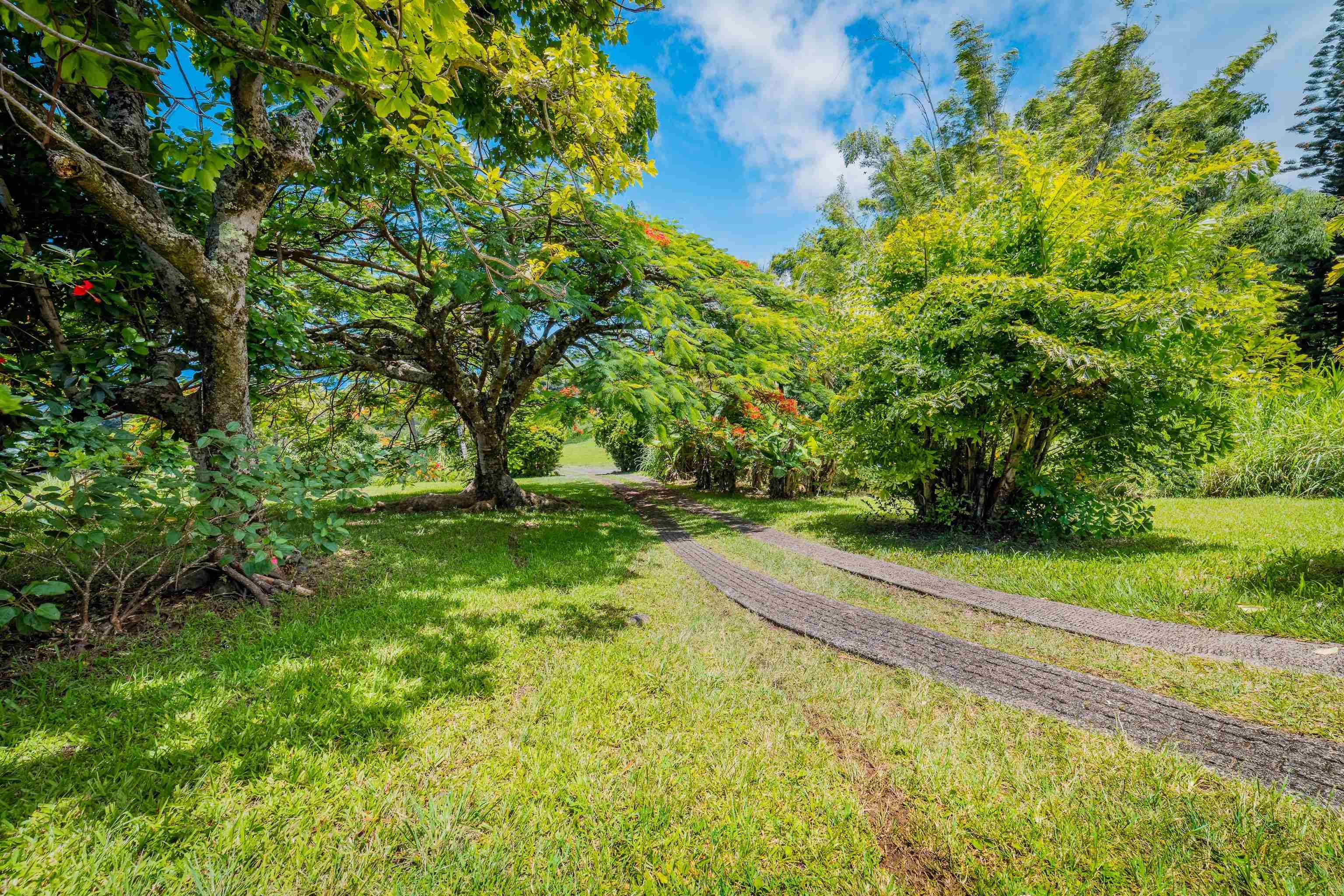 41049  Hana Hwy Kipahulu, Hana home - photo 24 of 38