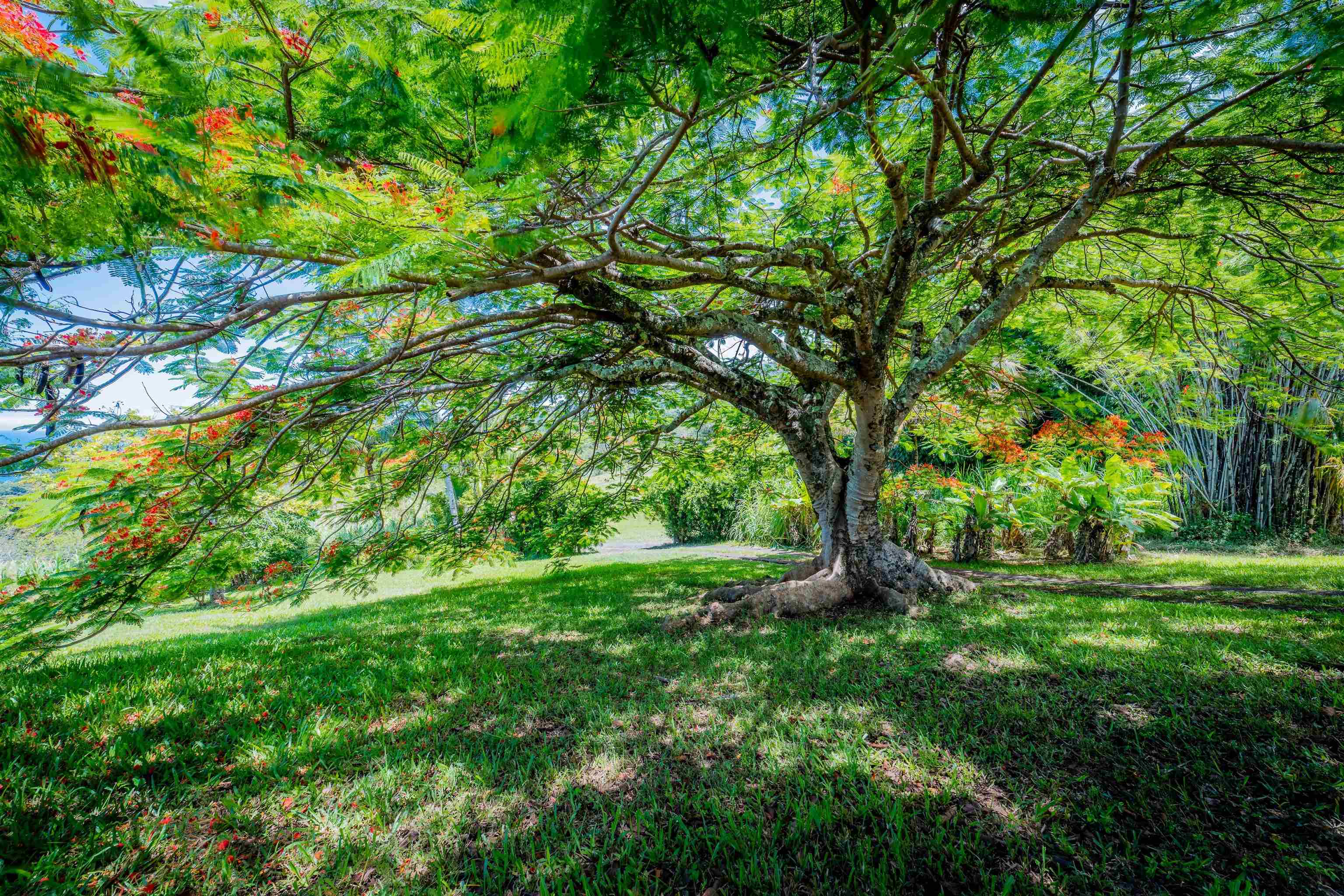 41049  Hana Hwy Kipahulu, Hana home - photo 25 of 38